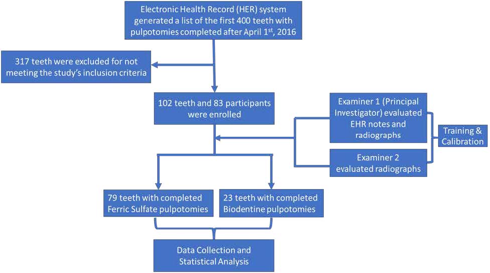 . Flow Chart of Study Progress