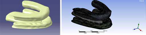 . 3D Model and Mesh of tongue and upper-lower alveolus