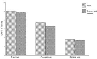 . Frequency of Stap aureus, P. aeruginosa, and Candida
spp. at 4 weeks after ROA placement, on the support
oral mucosa and the surface of the ROA