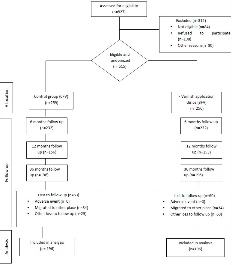 : Flowchart of recruitment and follow-up visits of study participants