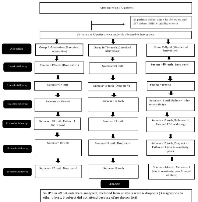 : CONSORT flow chart