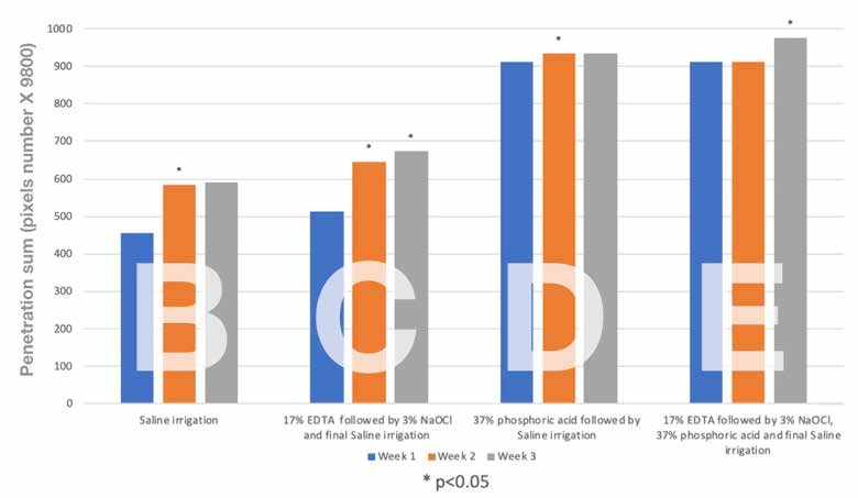 : Fluorescence Penetration amount for the different groups (presents as the number of pixel X 9800). Groups B and C
showed significantly larger penetration in weeks 2 and 3 compared to week 1 (P<0.05). Group D and E showed significantly
larger penetration compared to groups B and C at all times (P<0.05).
