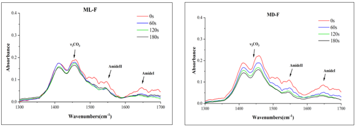 : Representative ATR spectra of mild fluorotic enamel (ML-F) and moderate fluorotic enamel (MD-F) after 5.25%NaOCl
treatments with different exposure times. The red, blue, green and black lines represent ATR spectra of enamel after NaOCl
treatments for 0s, 60s, 120s, 180s groups, respectively.