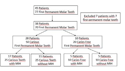 Flowchart of the study
