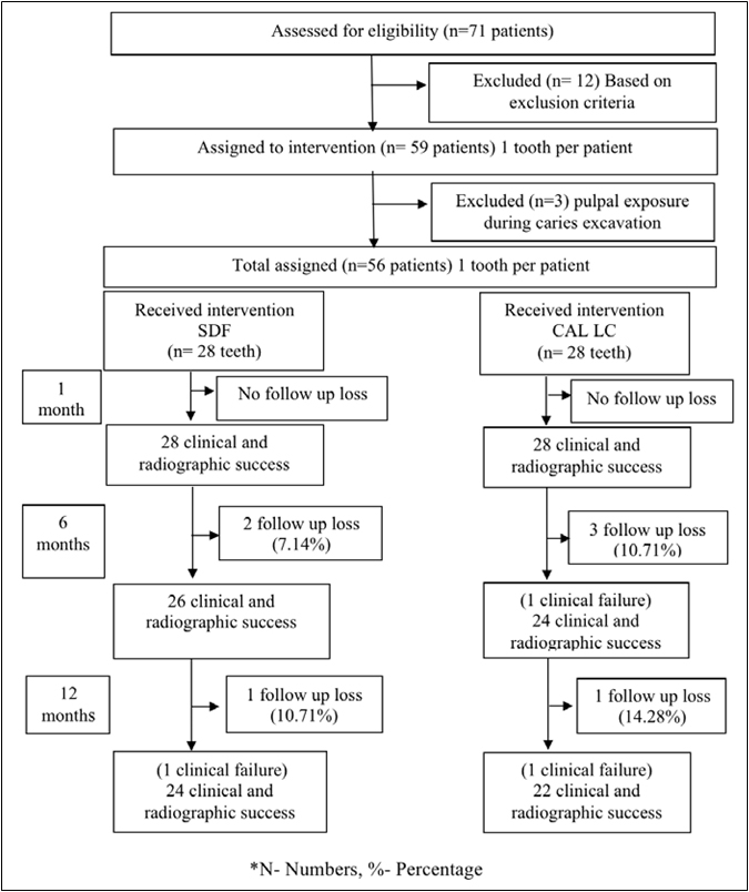 Flow chart of the study subjects from baseline to 12-months follow up in accordance to CONSORT guidelines.