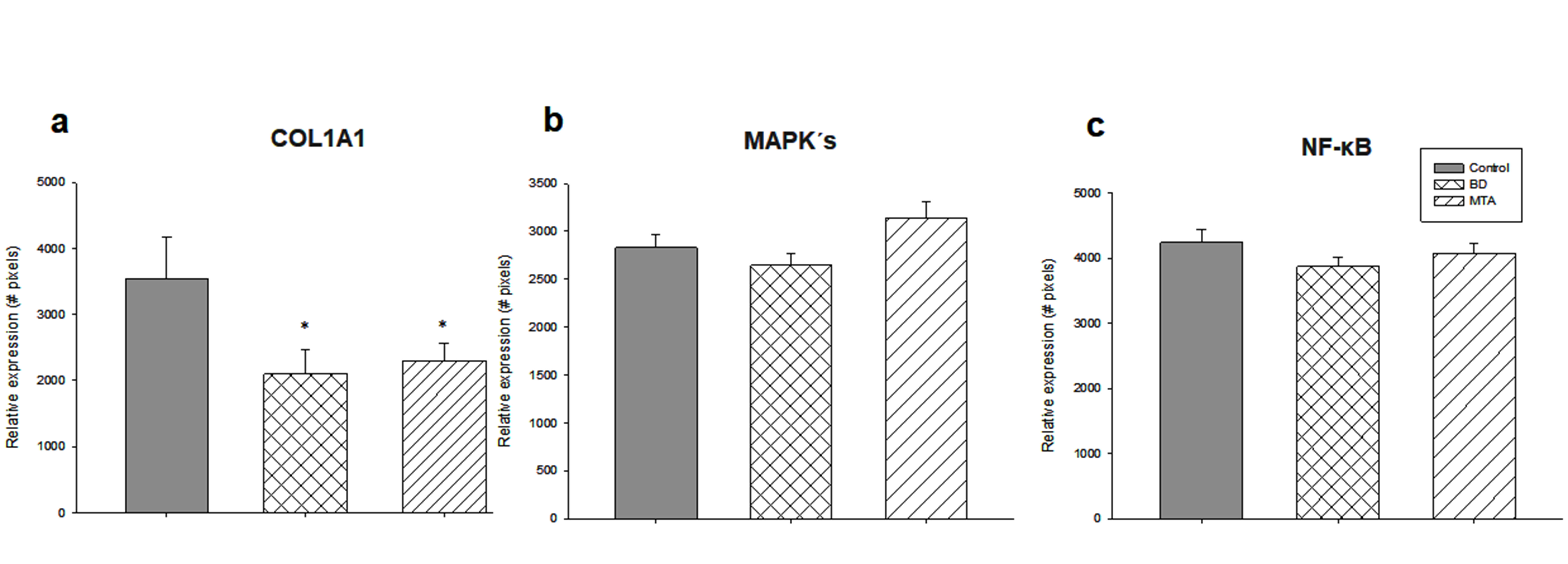 Relative gene 
expression.COL1A1 (a), MAPK’s (b), and 
NF-κB (c) in hDPFs cell cultures after 7 d of incubation in the 
culture media with MTA and Biodentine eluates. COL1A1: Collagen 
Type I Alpha 1 Chain, MAPK’s: Mitogen-Activated Protein 
Kinases, NF-κB: Nuclear factor kappa B, MTA: Mineral 
Trioxide Aggregate.