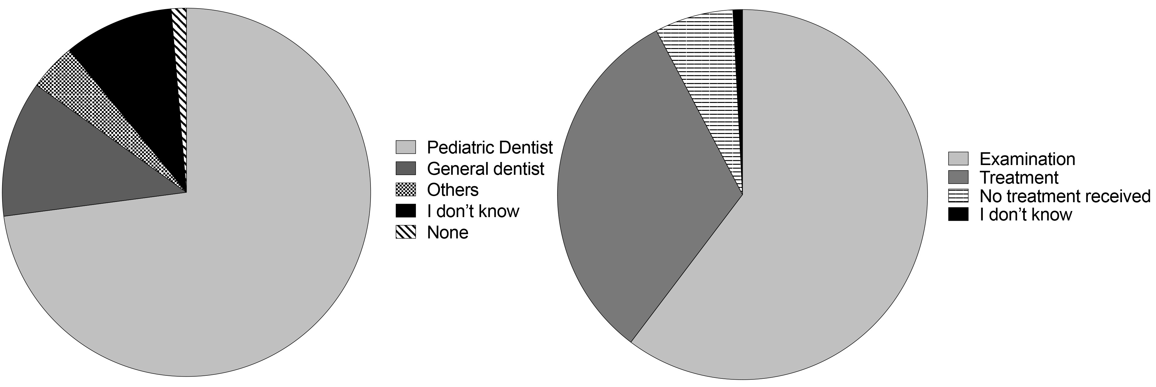 Distribution of treatment delivered to CSHCN and the treatment 
providers (n = 602). Examination and preventive measures include oral hygiene 
instructions, fluoride application and radiographs. While treatment includes 
extractions, fillings, and crowns.