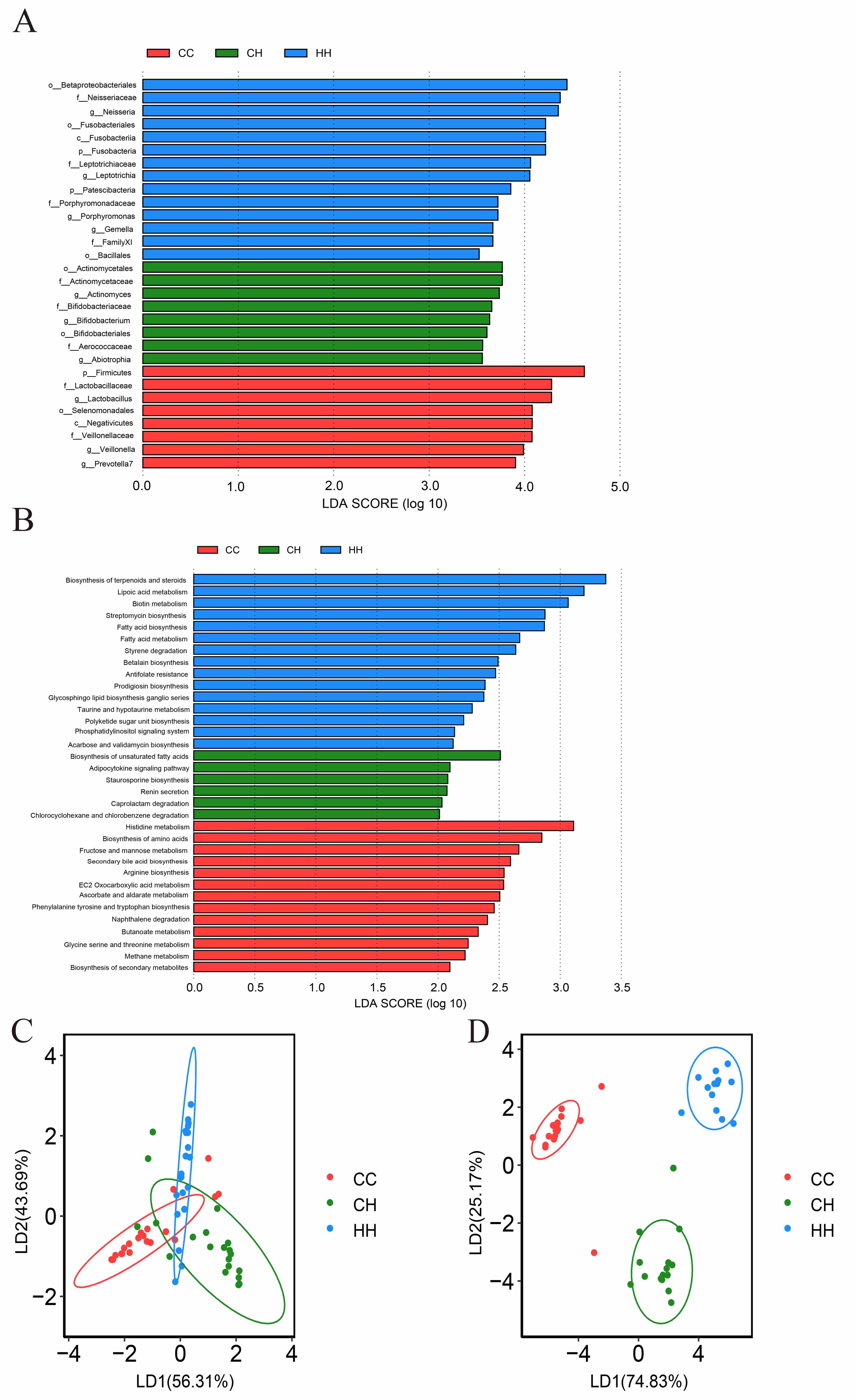 Difference of oral microbial taxonomical and functional
composition in caries and healthy children. Taxonomical composition (A) and
functional composition (B) for identification of the CC, CH and HH cohorts
presented the oral microbiota taxa and functions with significant differences.
Linear discriminant analysis was performed to maximize the separation of the CC,
CH and HH cohorts based on (C) taxonomical composition and (D) functional
composition.