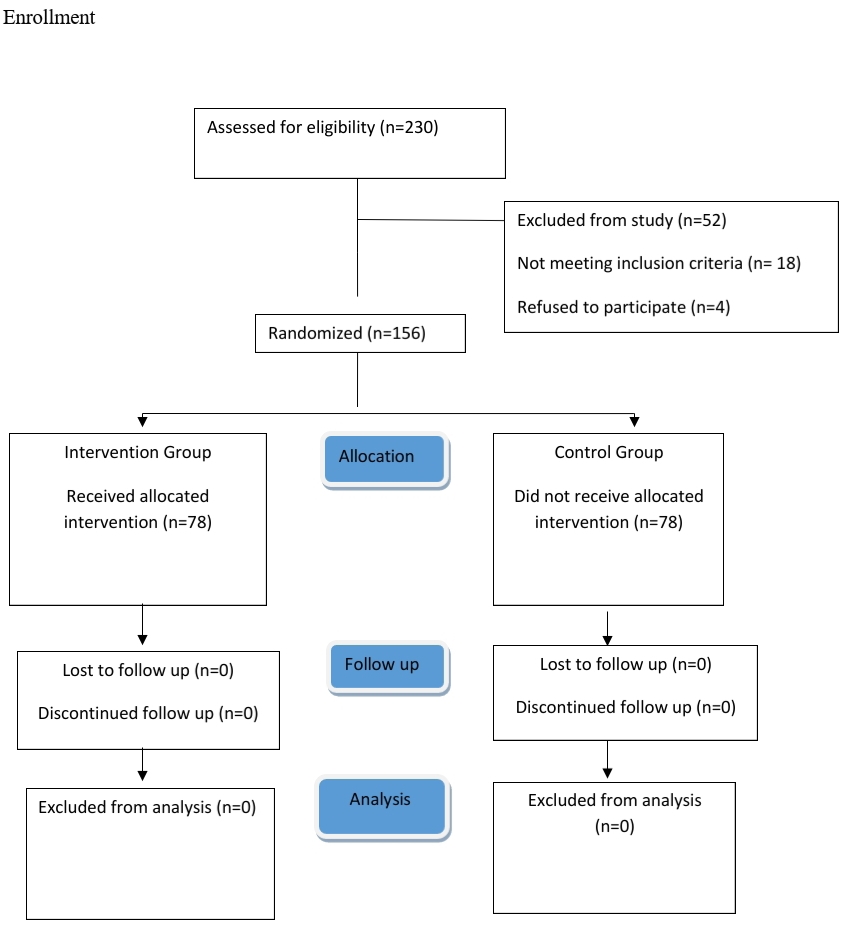 CONSORT flow diagram.