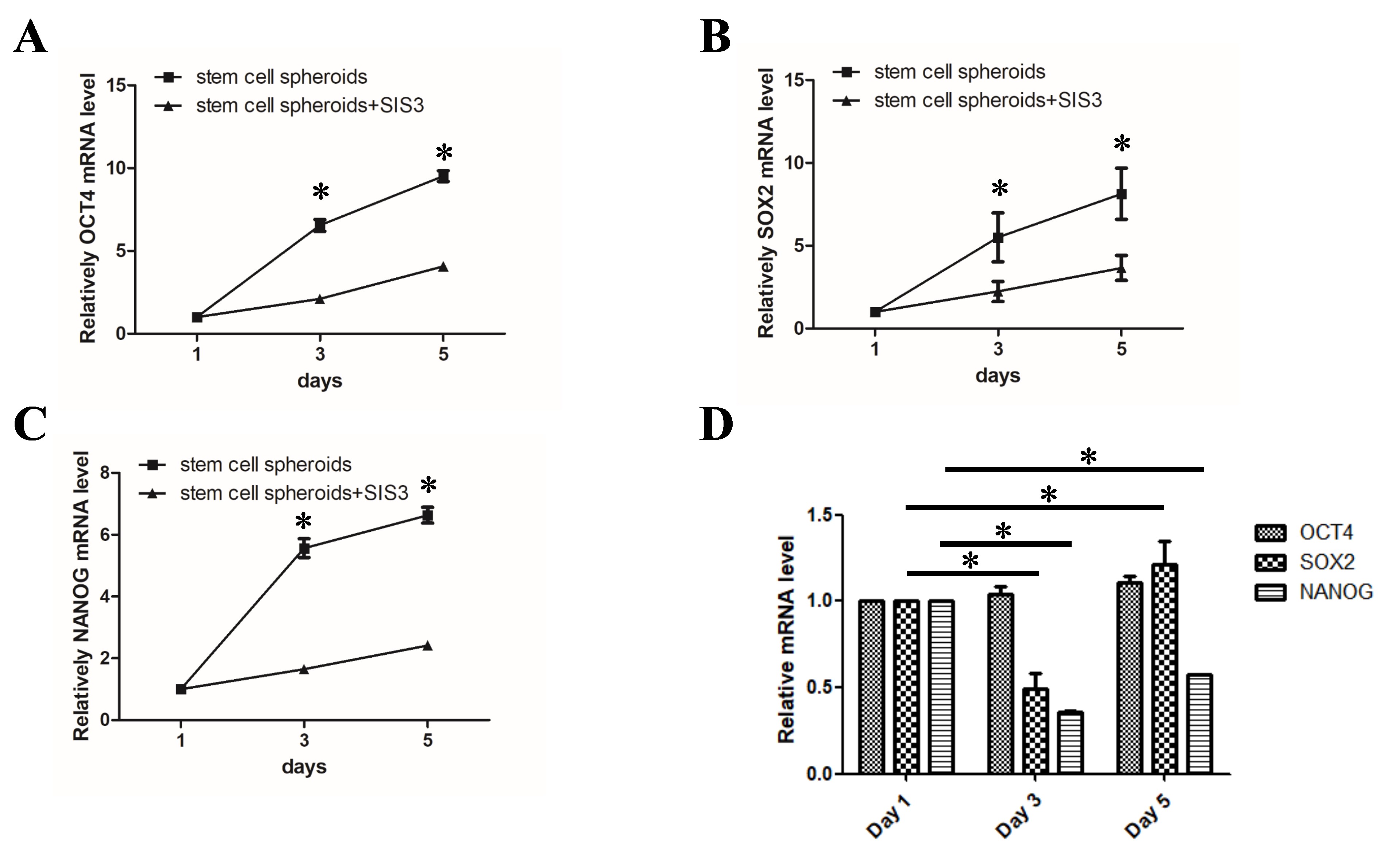 Relative mRNA expressions of pluripotency markers of OCT4, SOX2
and NANOG of SHED in spheroids and monolayers treated with or without SIS3. (A):
The mRNA expression levels of OCT4 in SHED spheroids were significantly reduced
when treated with SIS3 compared to the untreated group during the 5 days of 3D
spheroid culture. (B): The mRNA expression levels of SOX2 in SHED spheroids were
lower when treated with SIS3 compared to the untreated group during the 5 days of
3D spheroid culture. (C): The mRNA expression levels of NANOG in SHED spheroids
were considerably reduced when treated with SIS3 compared to the untreated group
during the 5 days of 3D spheroid culture. (D): The mRNA expression levels of
OCT4, NANOG and SOX2 were measured on days 1, 3 and 5 of monolayer culture.
(*p < 0.05). SIS3: specific inhibitor of Smad3. OCT4: octamer-binding
transcription factor 4. SOX2: SRY-box transcription factor 2.