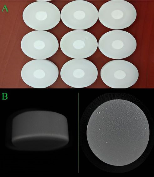 Preparation of samples and scanning for analysis. (A) Materials
prepared in Teflon molds. (B) Micro-CT scanned image of a sample.