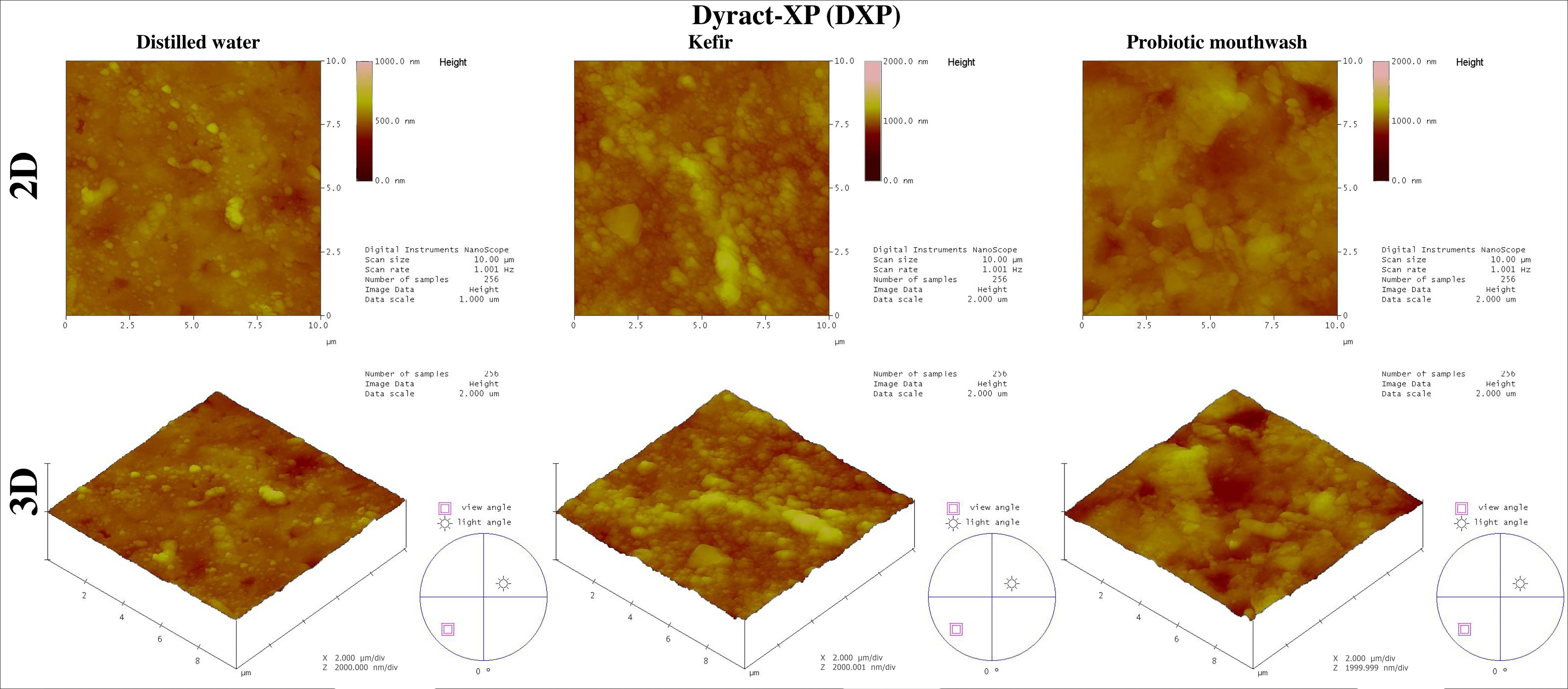 Representative AFM images of the Dyract-XP (DXP).