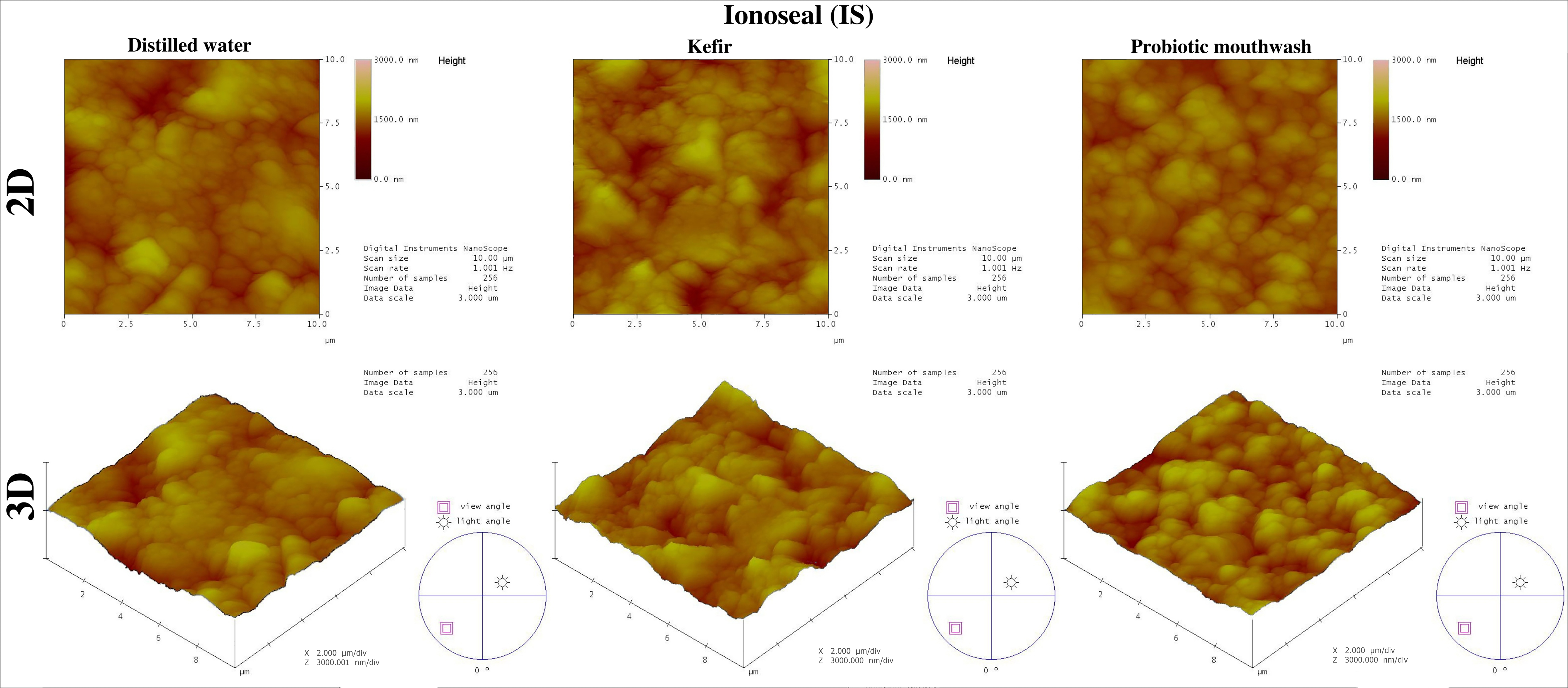 Representative AFM images of the Ionoseal (IS).