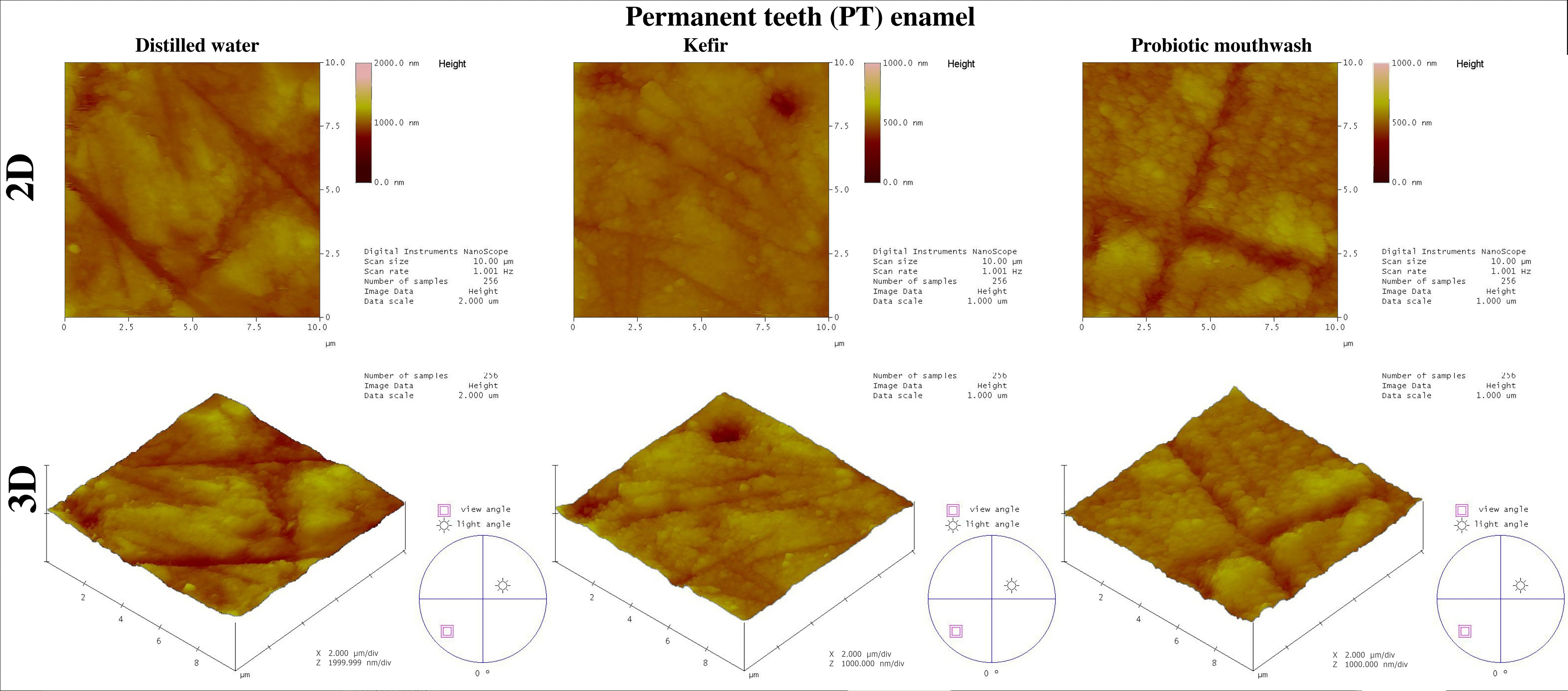 Representative AFM images of the permanent teeth (PT) enamel.