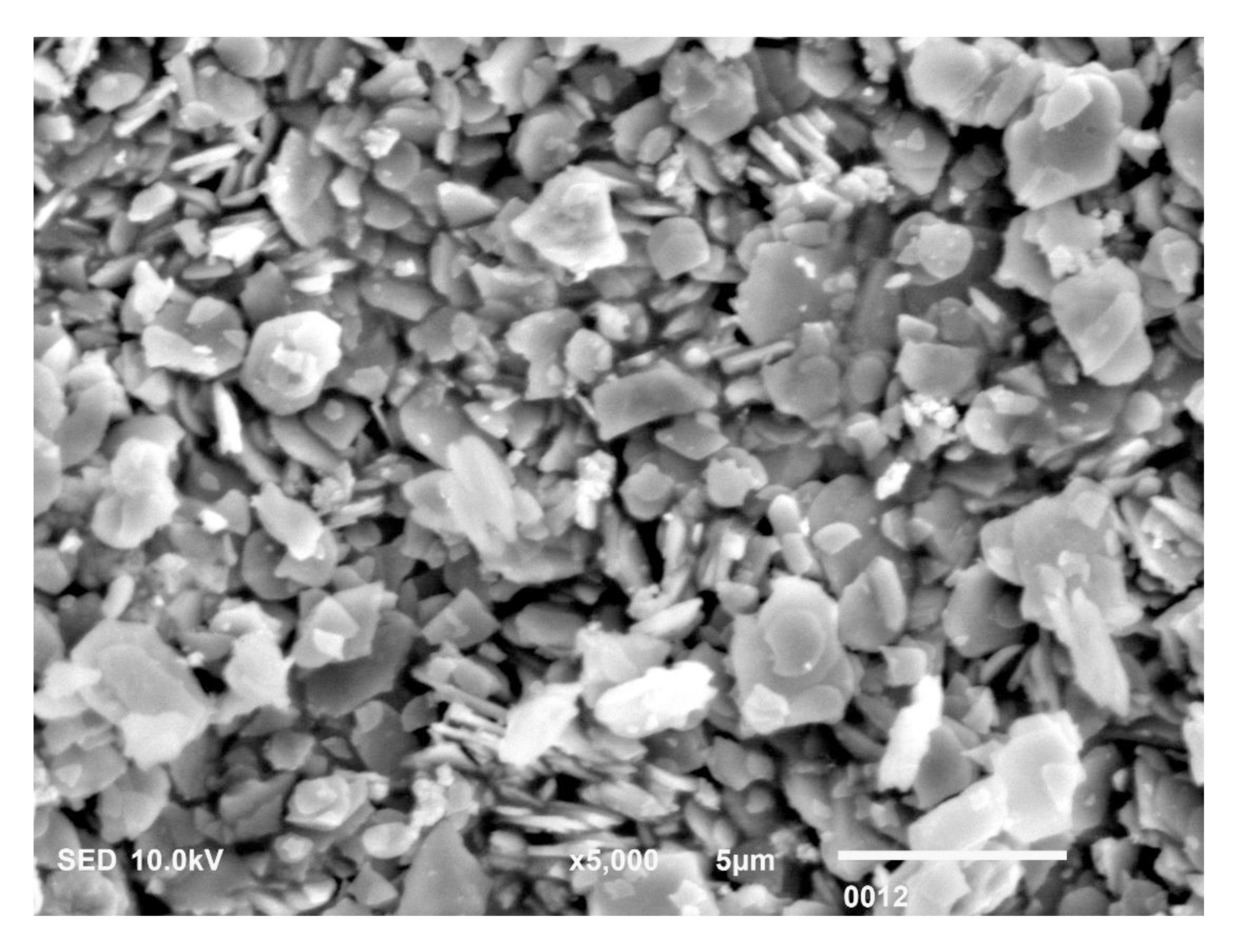 SEM image demonstrating hydroxyapatite nanoparticles that were 
synthesized had a morphology characterized by a heterogeneous rod structure with 
variability in sizes.