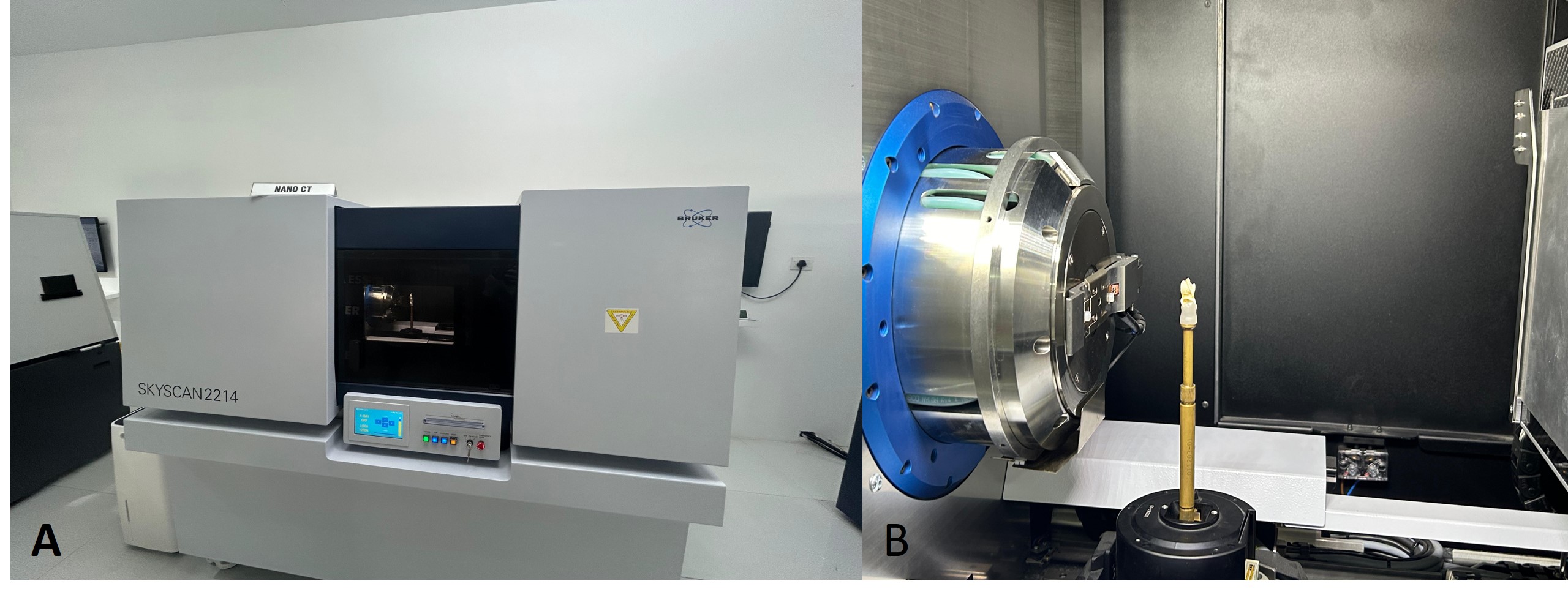Mounting of the samples for analysis. (A) mounted samples on the scanner; (B) Samples mounted on vinyl polysiloxane impression material.