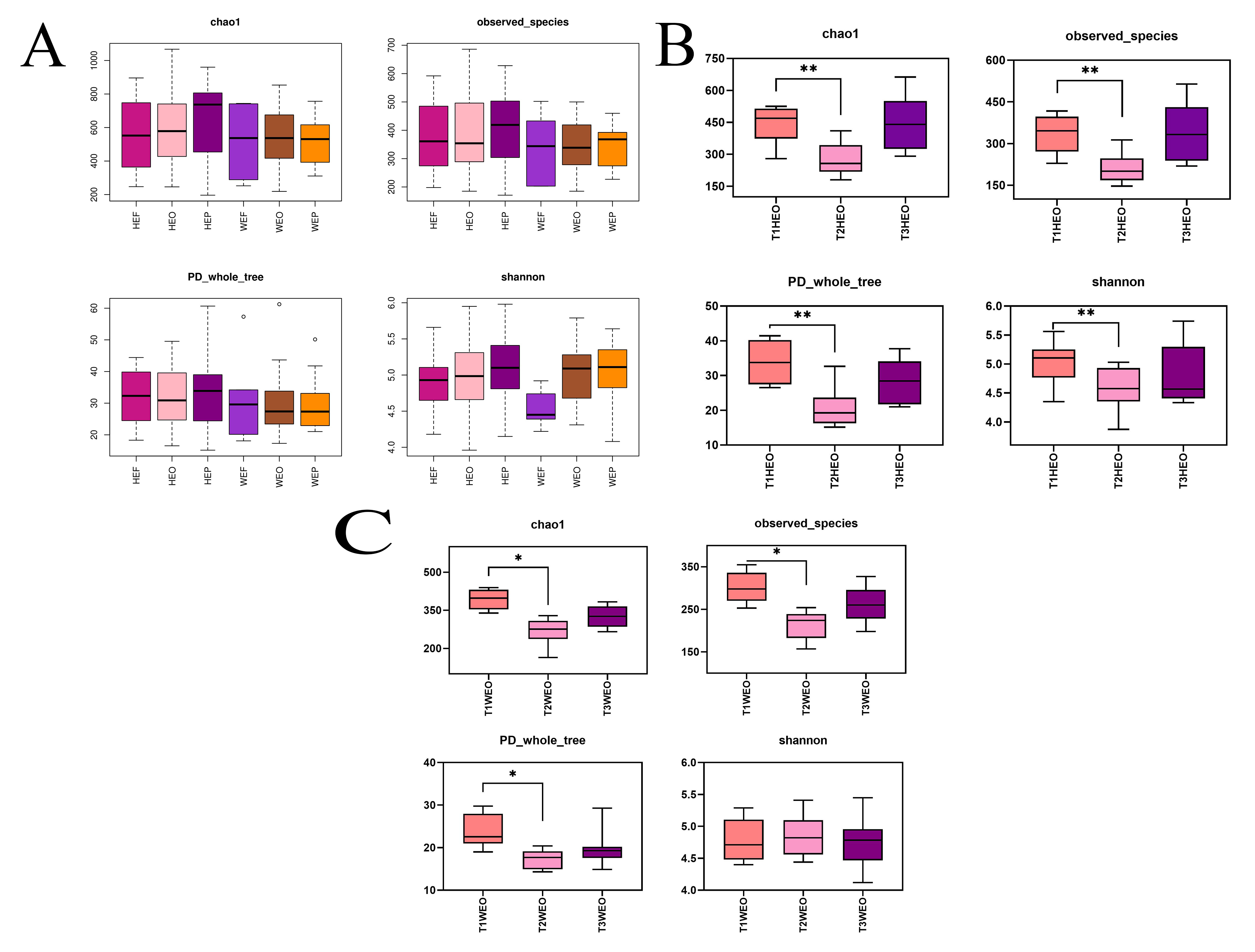 Variation of the salivary microbiome during the follow-up
period. (A) Box plot of Alpha diversity indices of saliva samples from the six
groups. (B) Box plot of Alpha diversity indices of saliva samples from the HEO
group at three-time points. (C) Box plot of Alpha diversity indices of saliva
samples from the WEO group at three-time points (*p < 0.05,
**p < 0.01).
