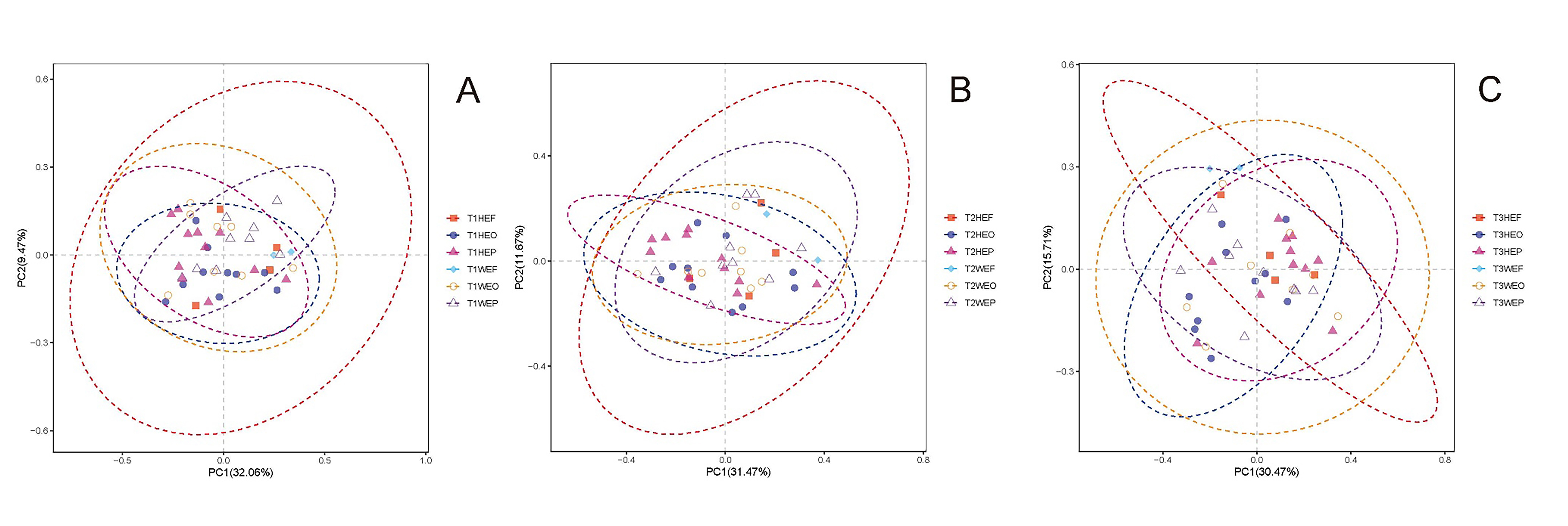 Principal coordinate analysis (PCoA) at three different time
points (six groups). (A) PCoA at T1 time point. (B) PCoA at T2 time point. (C)
PCoA at T3 time point.