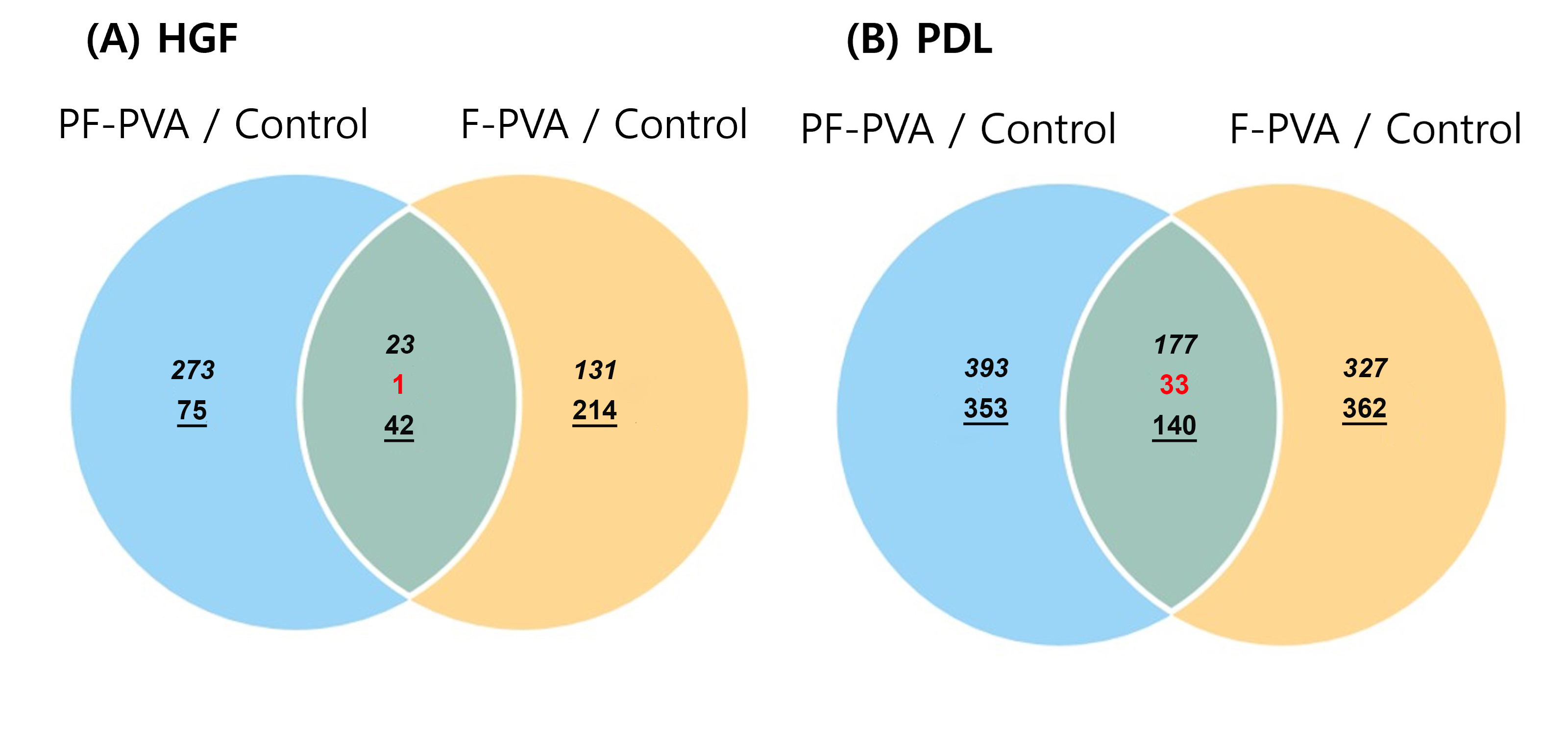 Gene set enrichment analysis, Venn diagram. (A) HGF cells, (B)
PDL cells. Slanted numbers: number of up-regulated genes, red numbers: number of
contra-regulated genes, underlined numbers: number of down-regulated genes. HGF:
human gingival fibroblasts; PDL: human periodontal ligament.