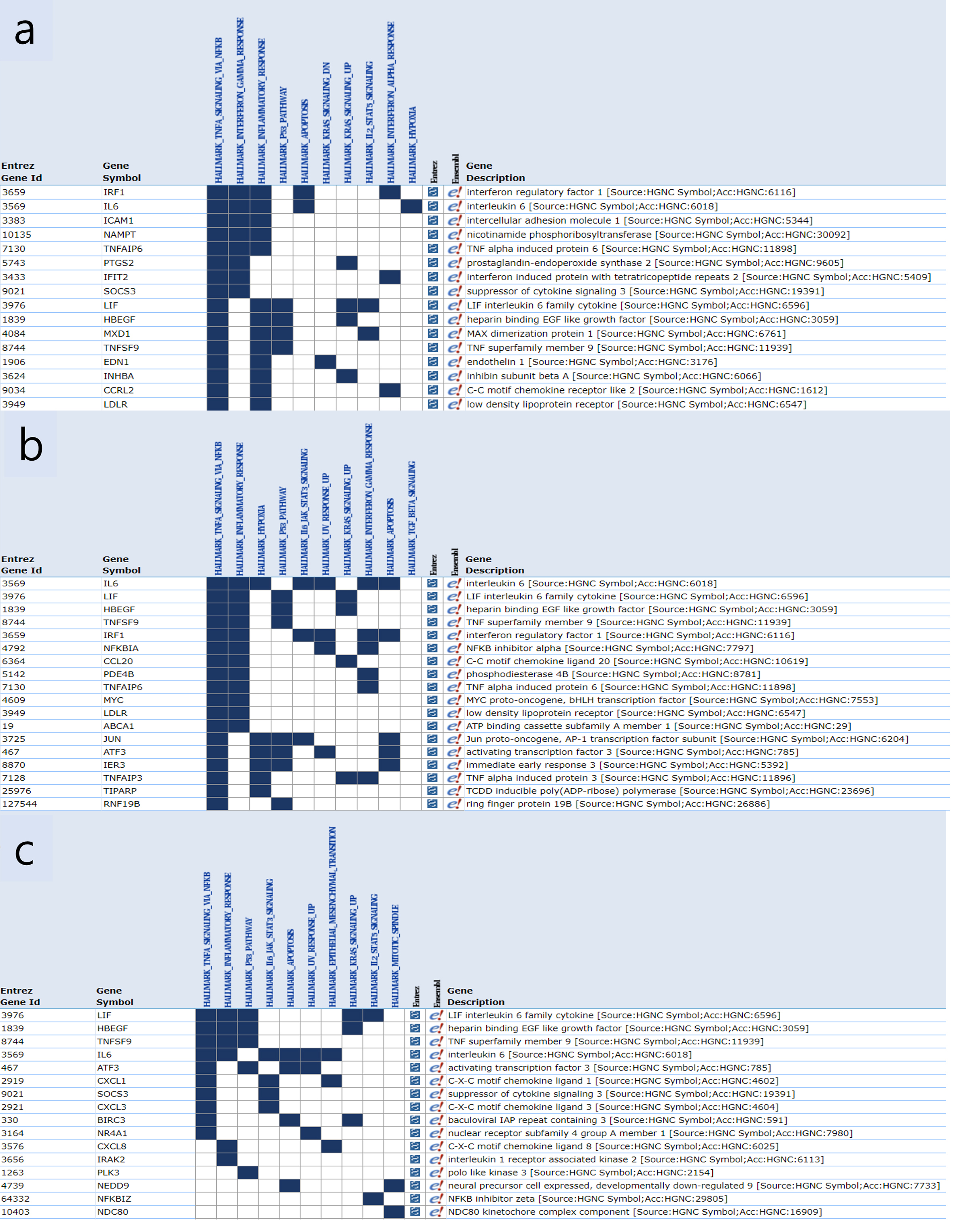 Gene set overlap matrix prepared by gene set enrichment analysis
(GSEA) on human pediodontal ligament (PDL) cells. GSEA was
performed to identify the functional profiles of over-expressed genes in a large
set and to identify the association between genes in the set. Hallmark gene set
overlaps of cells derived from PF-PVA (a), F-PVA (b) and both tapes (c). Only 15
genes were designated.