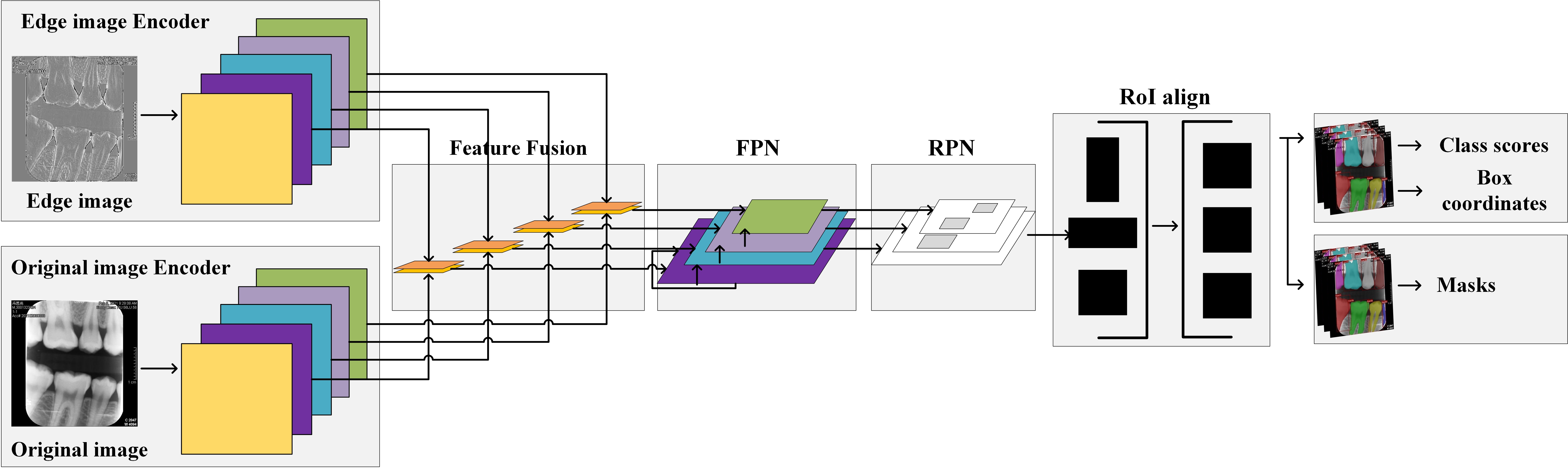 Co-Mask R-CNN Network
Structure. FPN: Feature Pyramid Network; RPN: Region Proposal Network.