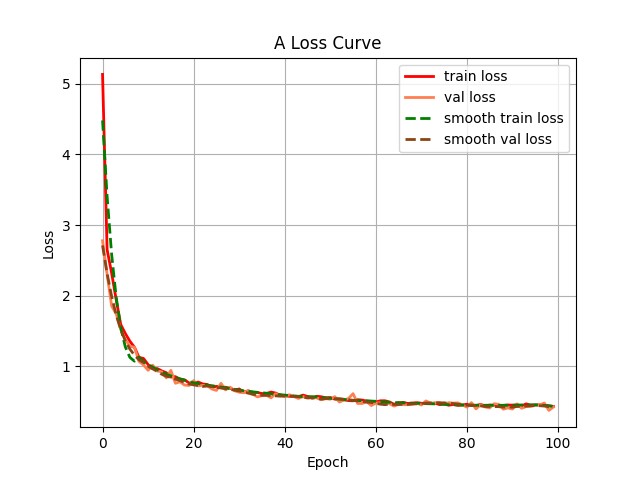 Loss curves.