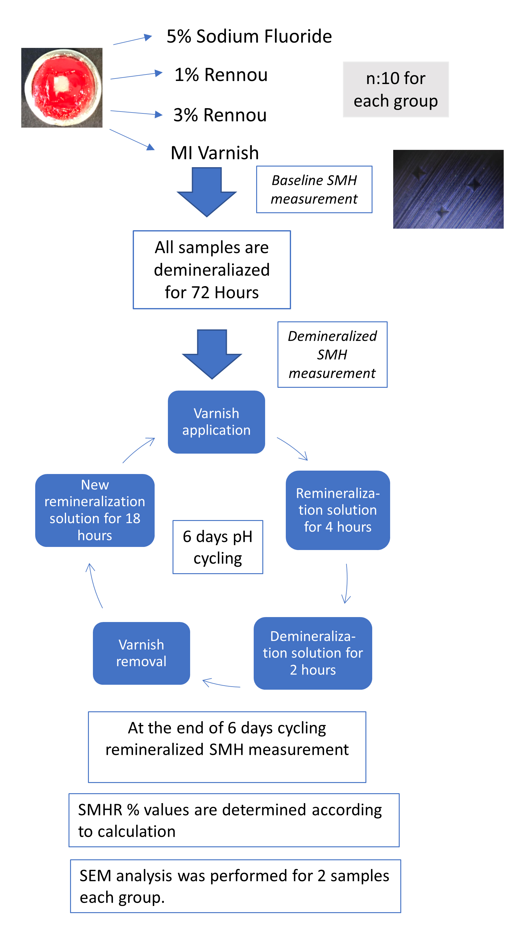 The flow chart of the experiment. Each third molar roots were 
sectioned, and the crowns were mounted in metal rings. After dividing groups, 
artificial enamel caries lesions were created using pH cycling with 
demineralization and remineralization solutions. At the end of the 6th day, 
SMHR% values were calculated. SMHR%: percentage of recovery in surface 
microhardness; SEM: Scanning electron microscopy; SMH: Surface Microhardness; pH: 
Potential of Hydrogen.