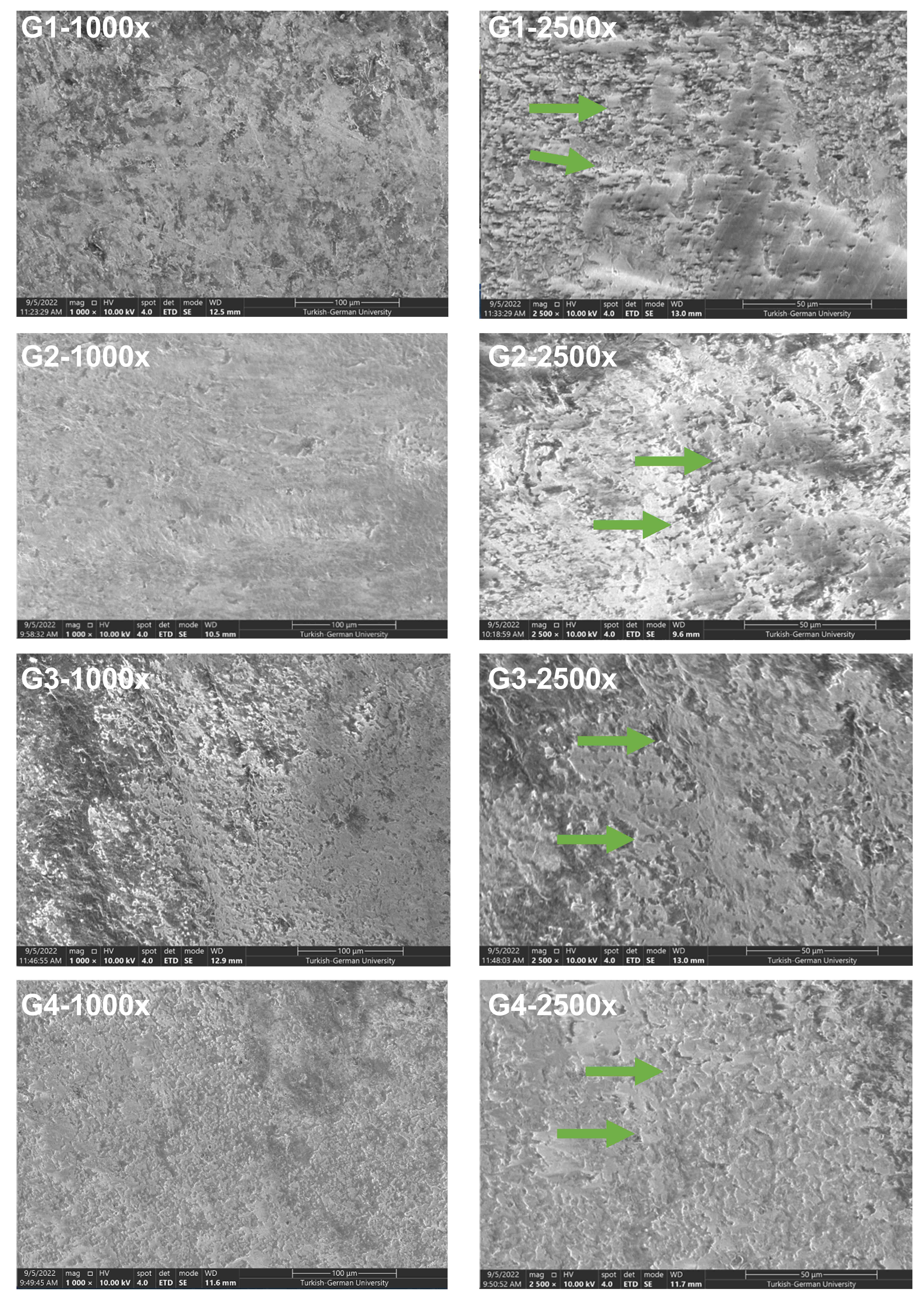 (Scanning Electron Microscope) SEM Images of four groups after 
pH cycle. The surface of all test groups (G1, G2, G3 and G4) presented either 
scattered amorphous crystals or particles, or lines of remineralization along the 
prismatic borders (images with 1000× magnification and 2500× 
magnification). The areas shown with green arrows represent shapeless 
precipitates in each group.