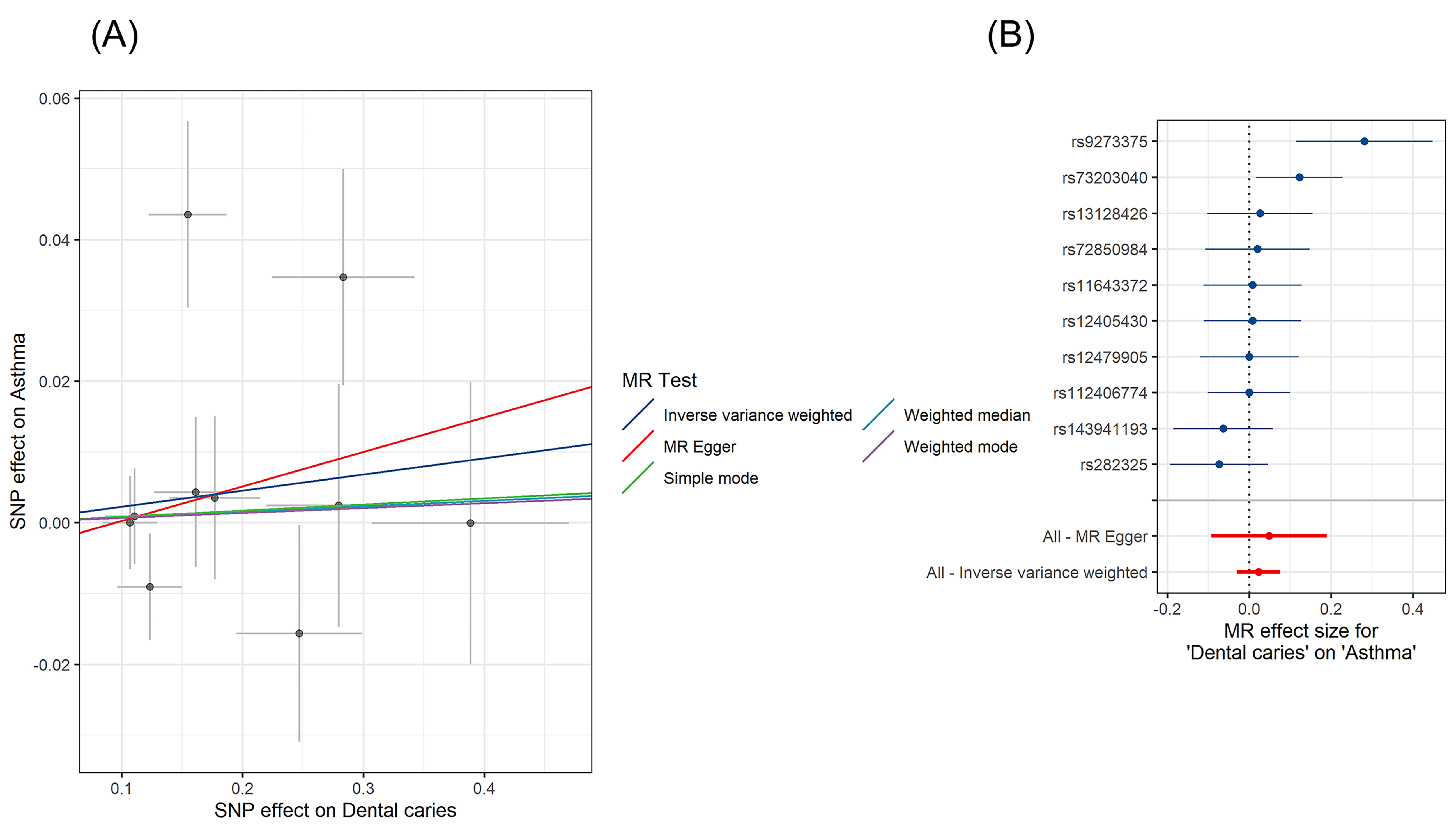 Scatter plot and forest plot of causal estimates for dental
caries on asthma. (A) Scatter plot of causal estimates for dental caries on
asthma performing five MR methods. The meaning of the black dots and lines in
this figure is the same as depicted in Fig. 3. In the scatter plot, the
regression lines’ trend lacks consistency, with most of them being horizontally
directed. (B) Forest plot of causal estimates for dental caries on asthma. The
meaning of the horizontal lines in this figure is the same as depicted in Fig. 3.
In the forest plot, the bottom red line indicates that dental caries does not
have a positive promoting effect on asthma. MR: Mendelian randomization; SNP:
single nucleotide polymorphism.