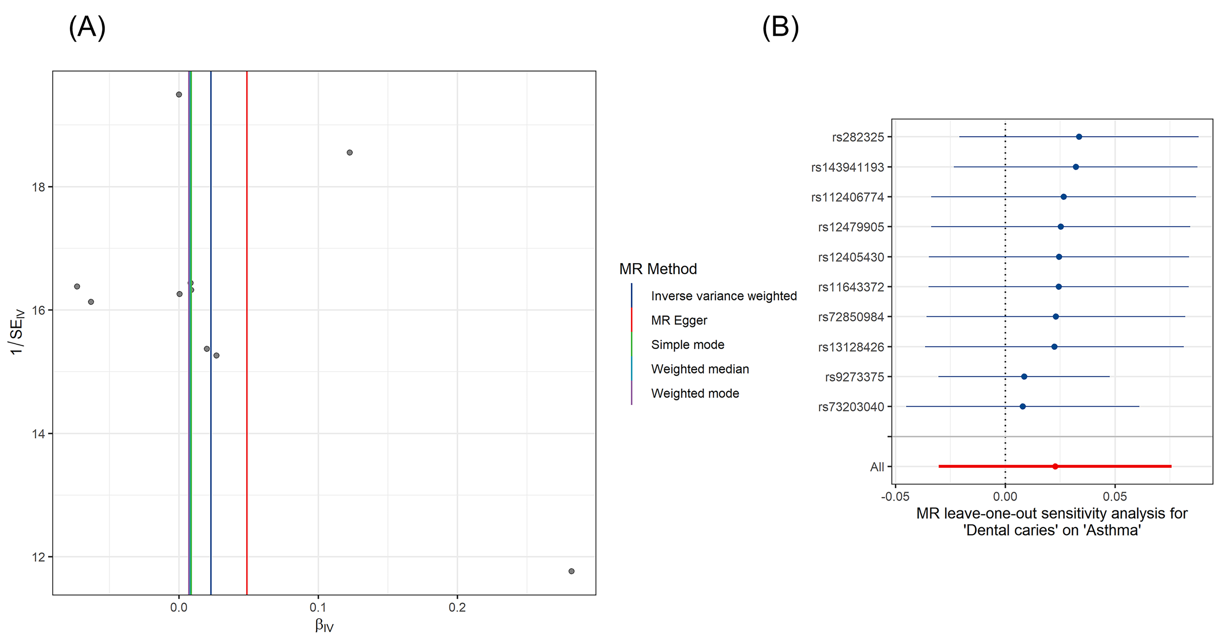 Funnel plot and leave-one-out plot of causal estimates for
dental caries on asthma. (A) Funnel plot of causal estimates for dental caries
on asthma. The meaning of the black dots and lines in this figure is the same as
depicted in Fig. 4. The funnel plot does not present as a typical inverted funnel
pattern. (B) Leave-one-out plot of causal estimates for dental caries on asthma.
The meaning of the dots and lines in this figure is the same as depicted in Fig. 4. In the leave-one-out plot, all dots are on one side of the zero scale line,
indicating that removing any SNP would not have a significant impact on the
overall effect. SNP: single nucleotide polymorphism; MR: Mendelian randomization; SE: standard error.