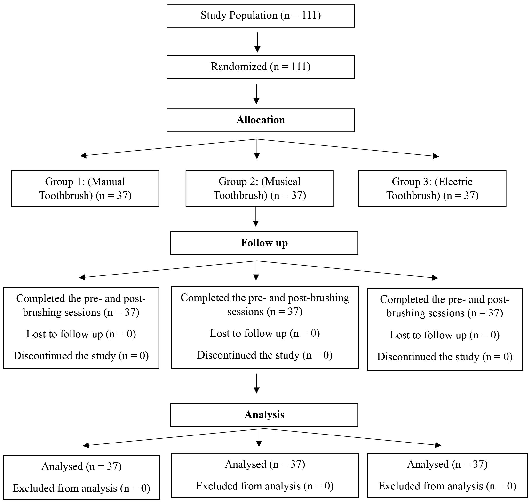 CONSORT flow diagram of the randomized controlled trial.