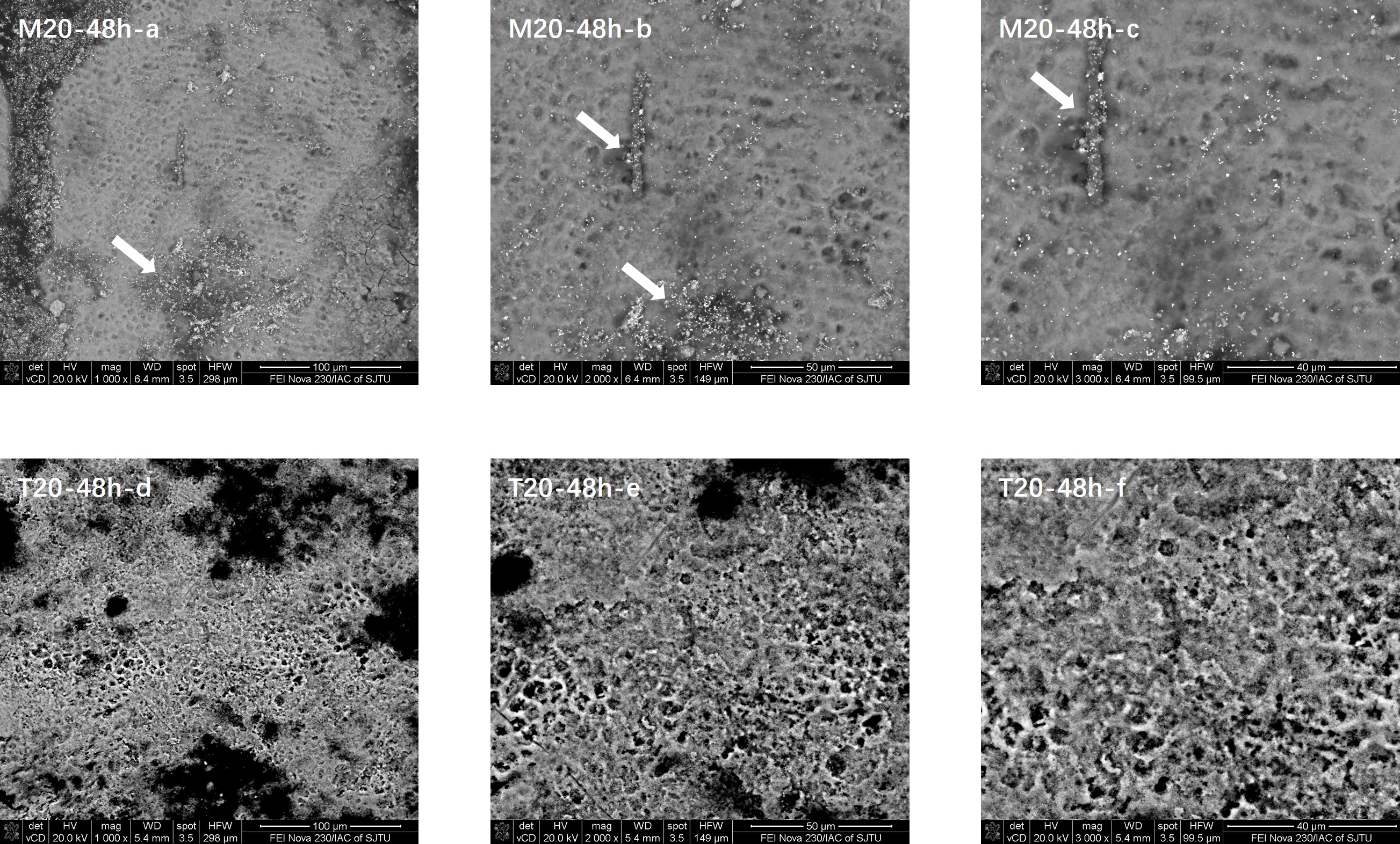 Enamel surface morphology comparisons in the M20 and T20
(control) groups 48 hours after the 20-second application of fluoride.
M20-48h-a–c: Analyses of enamel surface morphology 48 h following fluoride
application for 20 s using the novel medical fluoride applicator. T20-48h-d–f:
Analyses of enamel surface morphology 48 h following fluoride application for 20
s using a traditional brush. a: ×1000; b:
×2000; c: ×3000; d: ×1000;
e: ×2000; f: ×3000. Areas with crystal
structures are marked with white arrows.