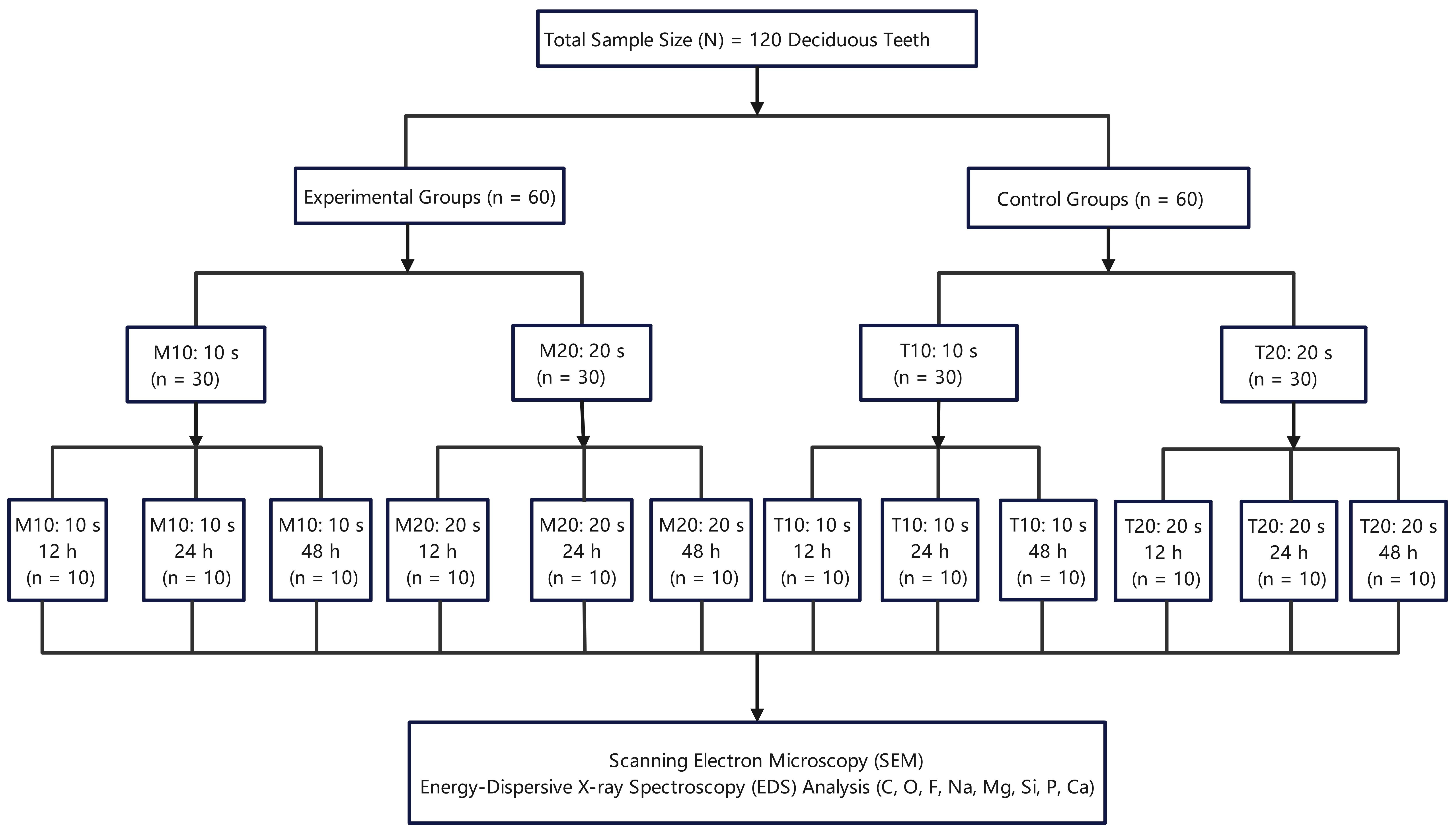 Sample size distributions and experimental workflow. C: carbon;
O: oxygen; F: fluoride; Na: sodium; Mg: magnesium; Si: silicon; P: phosphorus;
Ca: calcium; n: the number of samples per group.