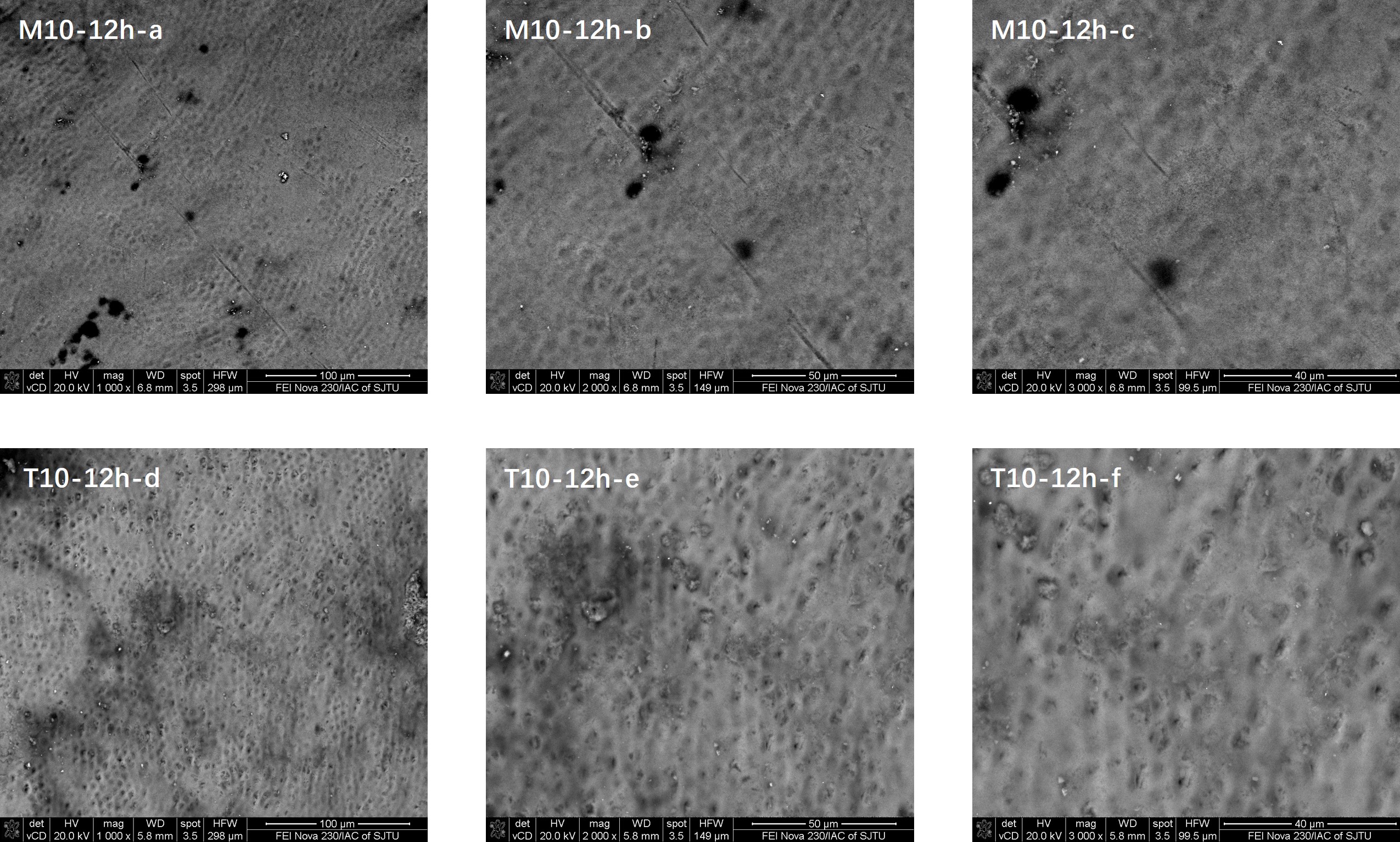 Enamel surface morphology comparisons in the M10 and T10
(control) groups 12 hours after the 10-second application of fluoride.
M10-12h-a–c: Analyses of enamel surface morphology 12 h following fluoride
application for 10 s using the novel medical fluoride applicator. T10-12h-d–f:
Analyses of enamel surface morphology 12 h following fluoride application for 10
s using a traditional brush. a: ×1000; b:
×2000; c: ×3000; d: ×1000;
e: ×2000; f: ×3000.