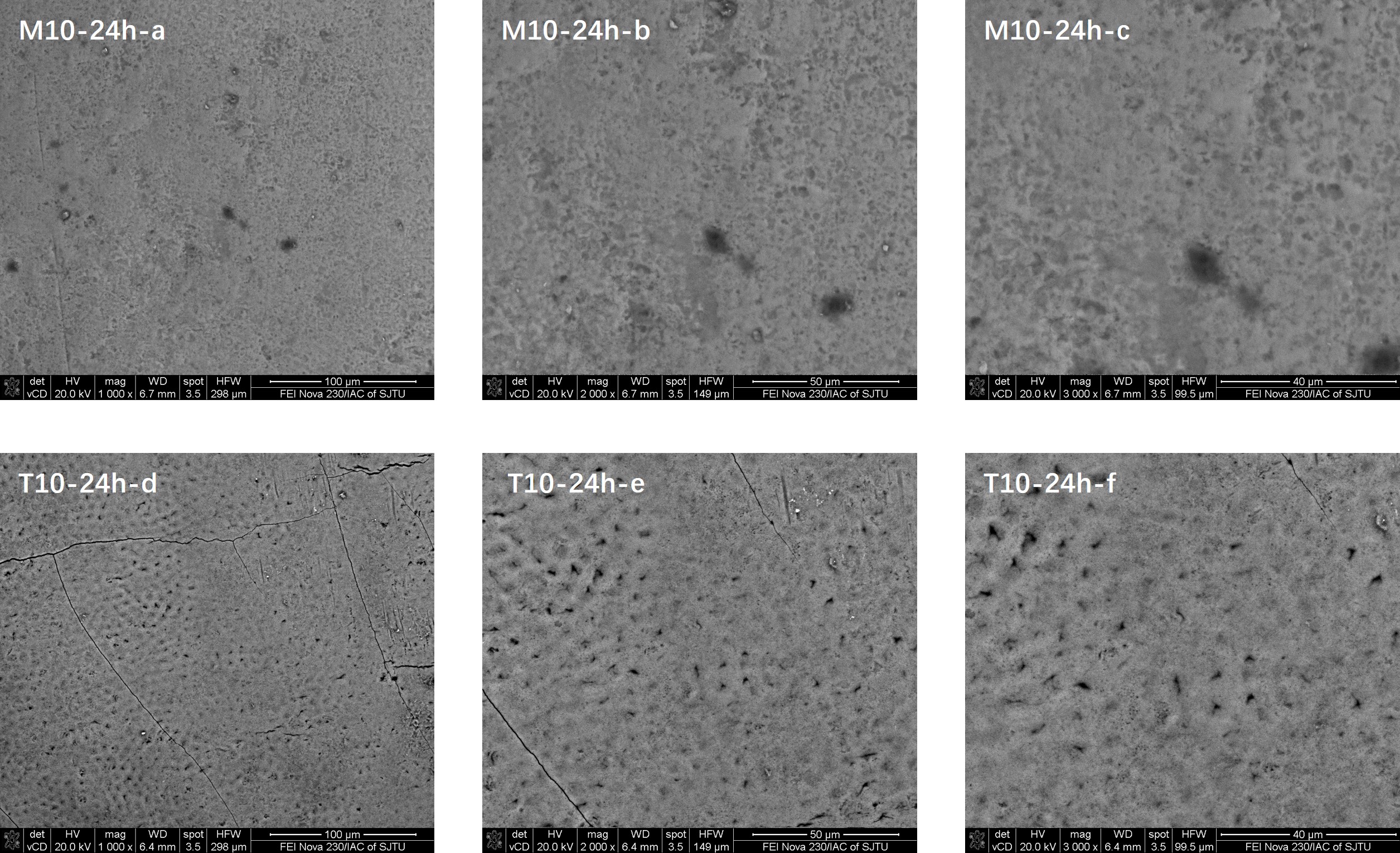Enamel surface morphology comparisons in the M10 and T10
(control) groups 24 hours after the 10-second application of fluoride.
M10-24h-a–c: Analyses of enamel surface morphology 24 h following fluoride
application for 10 s using the novel medical fluoride applicator. T10-24h-d–f:
Analyses of enamel surface morphology 24 h following fluoride application for 10
s using a traditional brush. a: ×1000; b:
×2000; c: ×3000; d: ×1000;
e: ×2000; f: ×3000.
