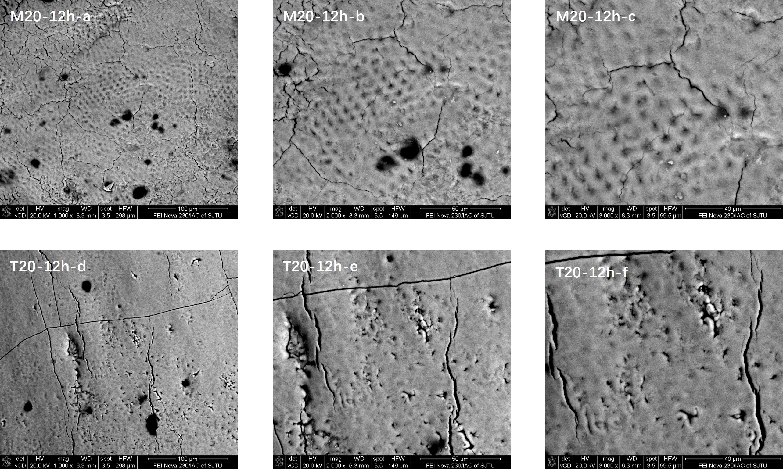 Enamel surface morphology comparisons in the M20 and T20
(control) groups 12 hours after the 20-second application of fluoride.
M20-12h-a–c: Analyses of enamel surface morphology 12 h following fluoride
application for 20 s using the novel medical fluoride applicator. T20-12h-d–f:
Analyses of enamel surface morphology 12 h following fluoride application for 20
s using a traditional brush. a: ×1000; b:
×2000; c: ×3000; d: ×1000;
e: ×2000; f: ×3000.