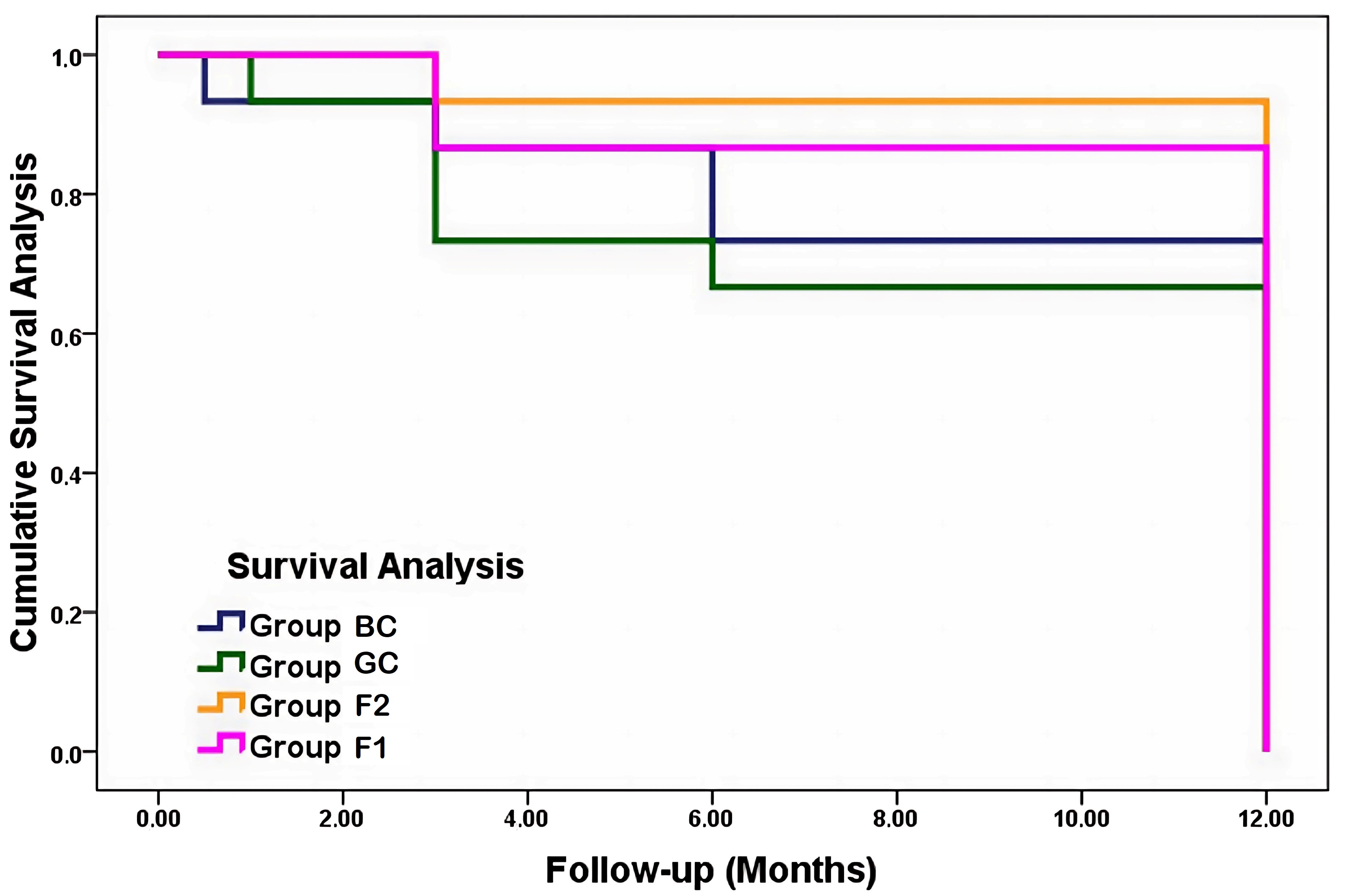 Kaplan-Meier survival analyses.
