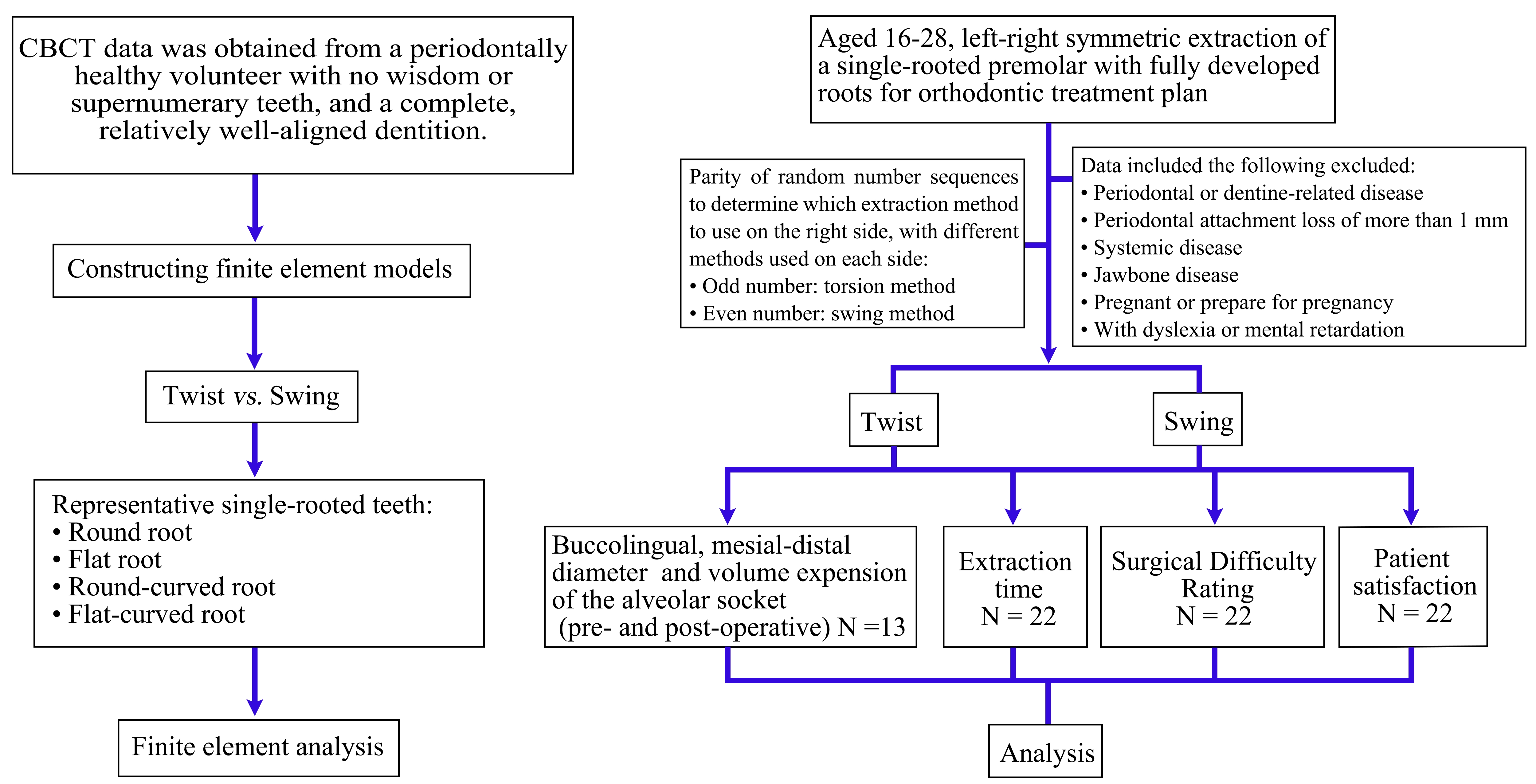 Flow chart. This flow chart outlines the design of the 
biomechanical analysis and the eligibility criteria, grouping, intervention, and 
indicators for the clinical validation part. We first analyzed the differences in 
biomechanical behavior between the torsion and swing methods using 3D modeling 
and finite element analysis, followed by clinical trials to further compare their 
effectiveness. CBCT: Cone Beam Computed Tomography.