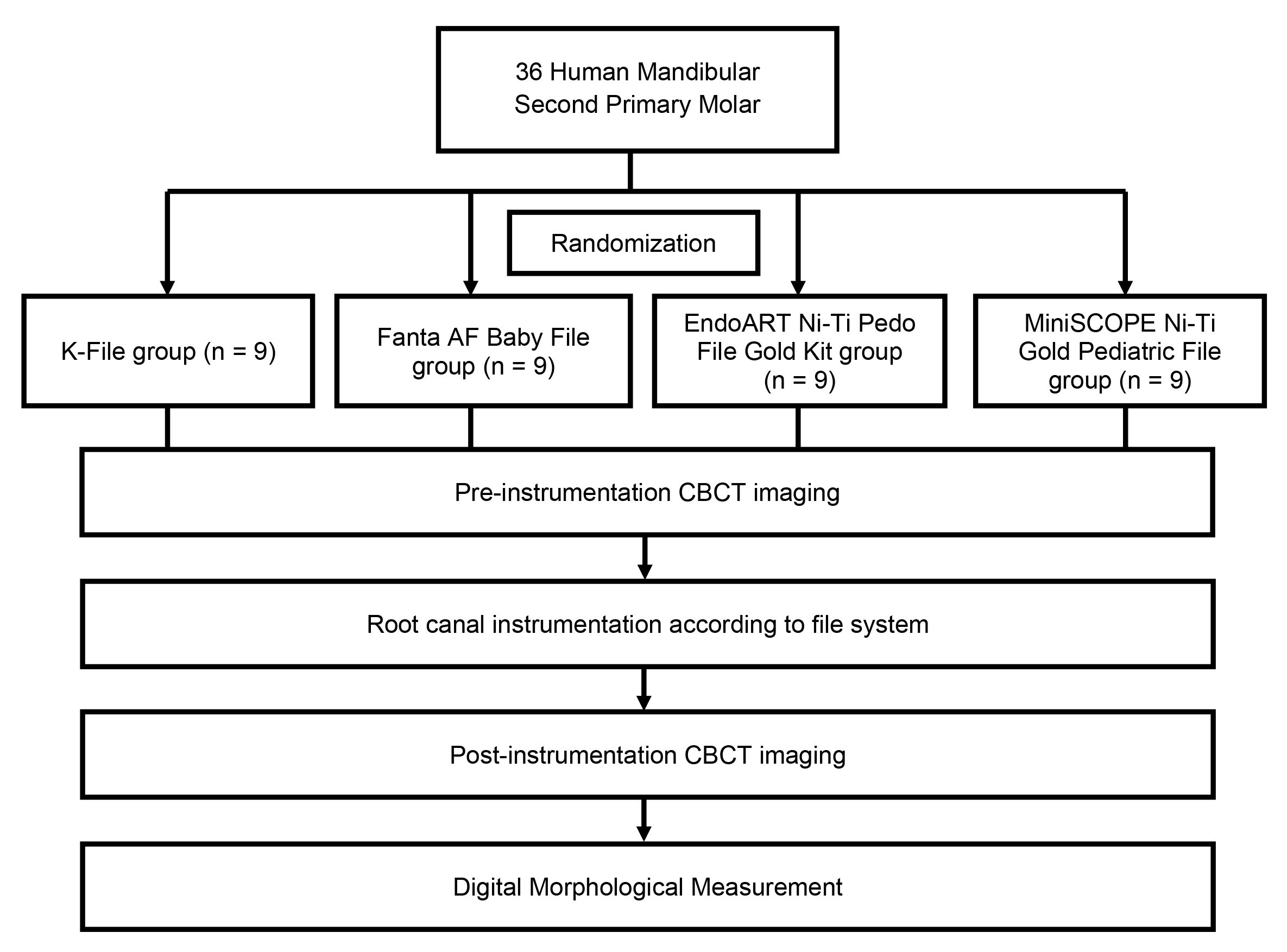 Flow chart of the study. CBCT: Cone-Beam Computed Tomography.