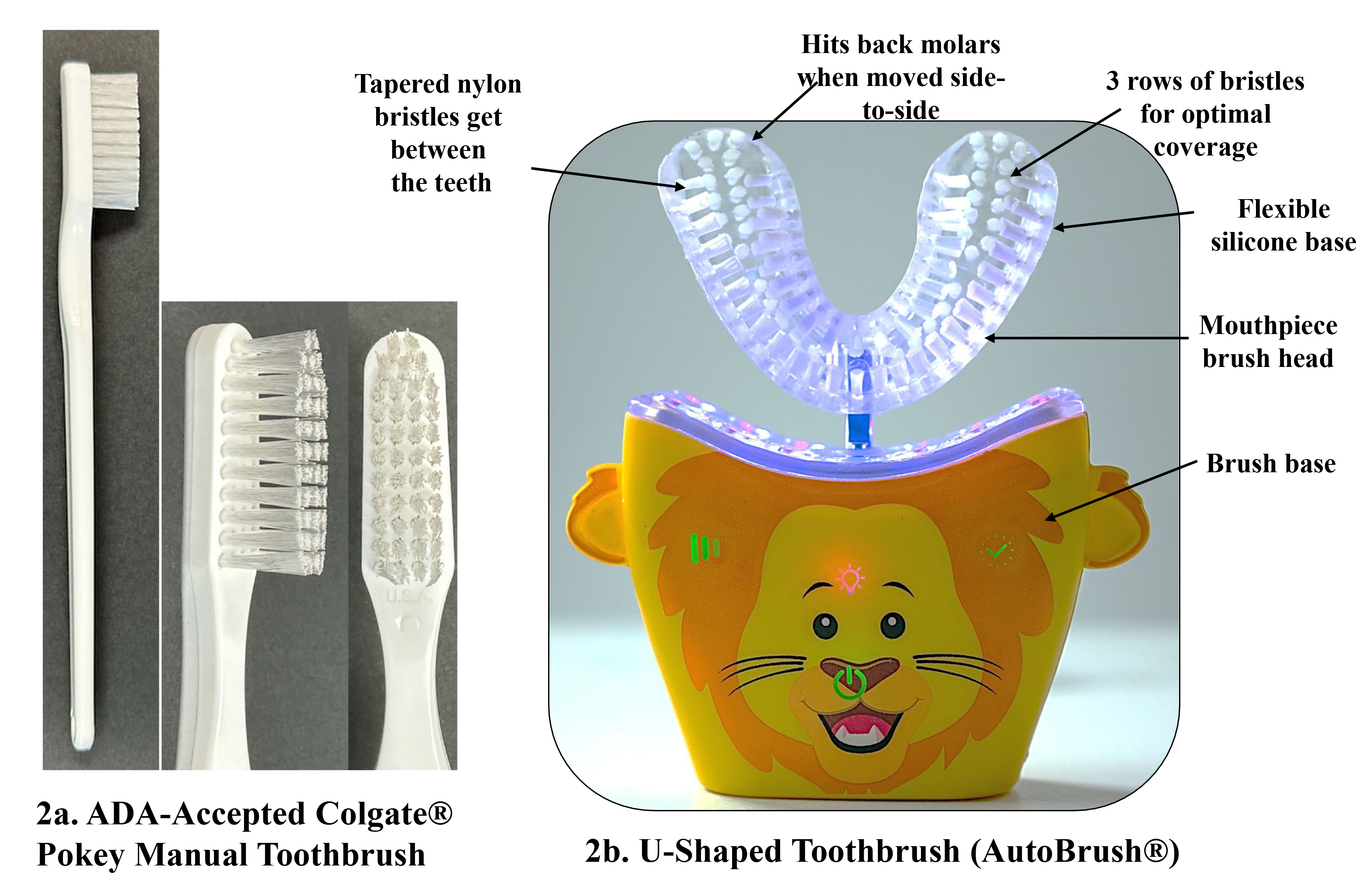 Images of the two toothbrush products. (2a) Colgate Pokey
ADA-accepted standard soft bristled, flat trimmed, manual toothbrush. (2b)
U-Shaped AutoBrush® sonic power toothbrush with two-sided
mouthpiece that is designed in various sizes based on individual ages.