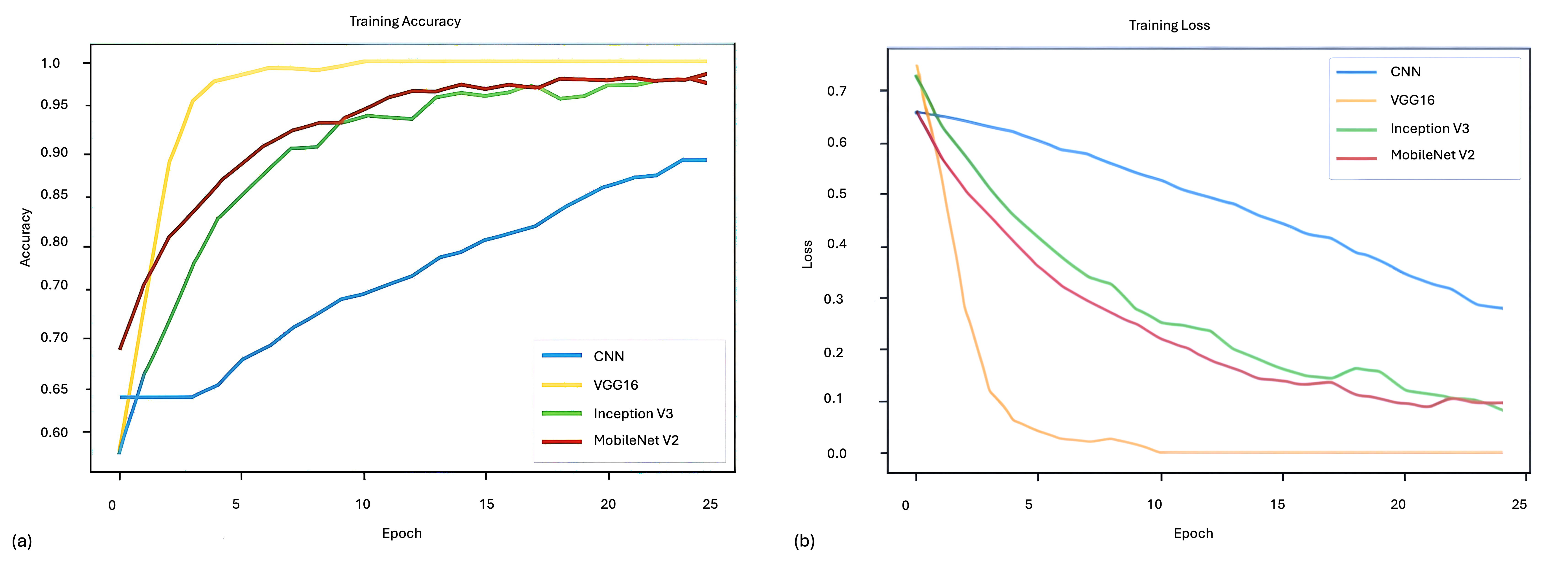 Training accuracy and loss figure. (a) Training accuracy of each model; (b) Training loss of each model. The training
accuracy and loss plots show that VGG16 and Inception V3 reach faster convergence
and higher accuracy, whereas CNN demonstrates the lowest performance among the
tested models. Notably, VGG16 achieves the best training results, featuring the
highest accuracy and the lowest loss. CNN: Classical convolutional neural
network; VGG16: Visual Geometry Group 16-layer.