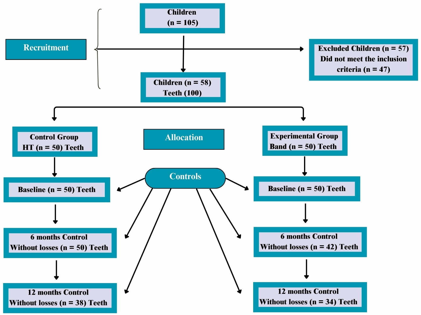 Flowchart of participant inclusion and study phases. HT: Hall
Technique.