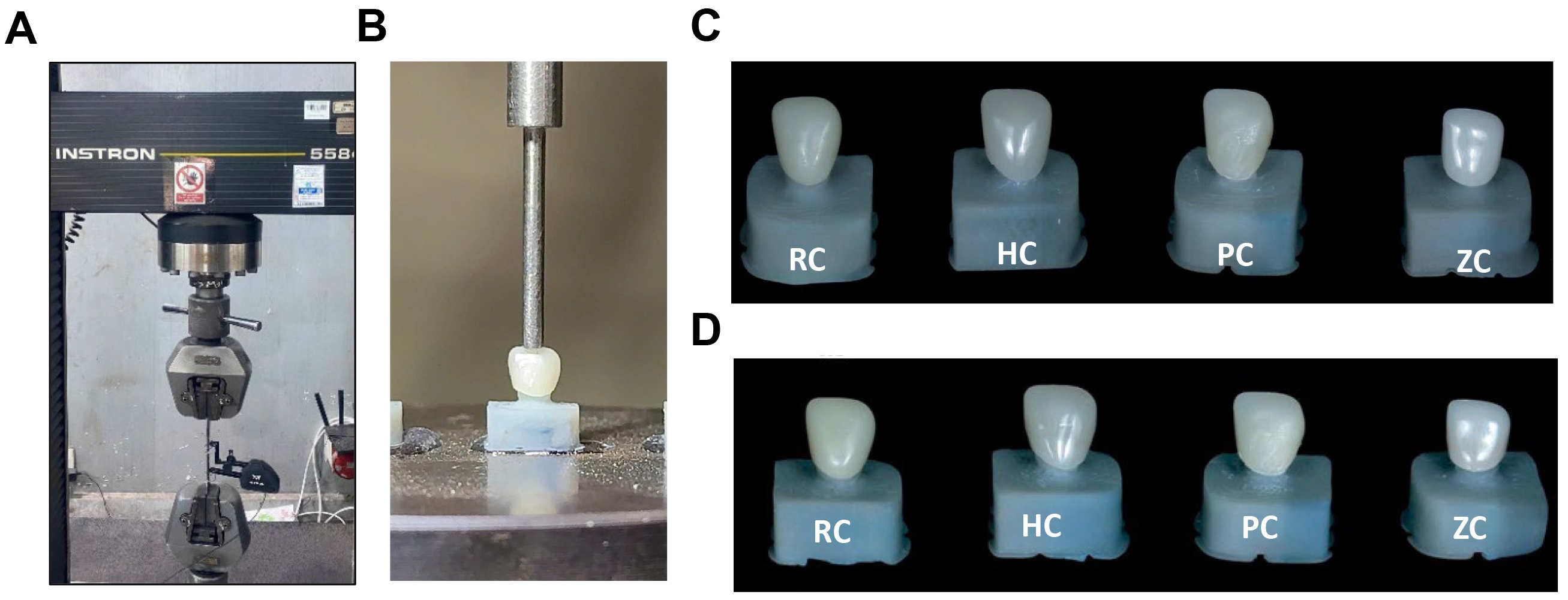 Fracture resistance test. (A) Universal Testing Machine setup 
for fracture resistance testing. (B) Fracture Resistance Testing. Color stability 
test. (C) Images of colored crowns at 7 days. (D) Images of colored crowns at 14 
days. RC: 3D-printed resin; HC: milled hybrid ceramic; PC: milled PMMA; ZC: 
prefabricated zirconia.