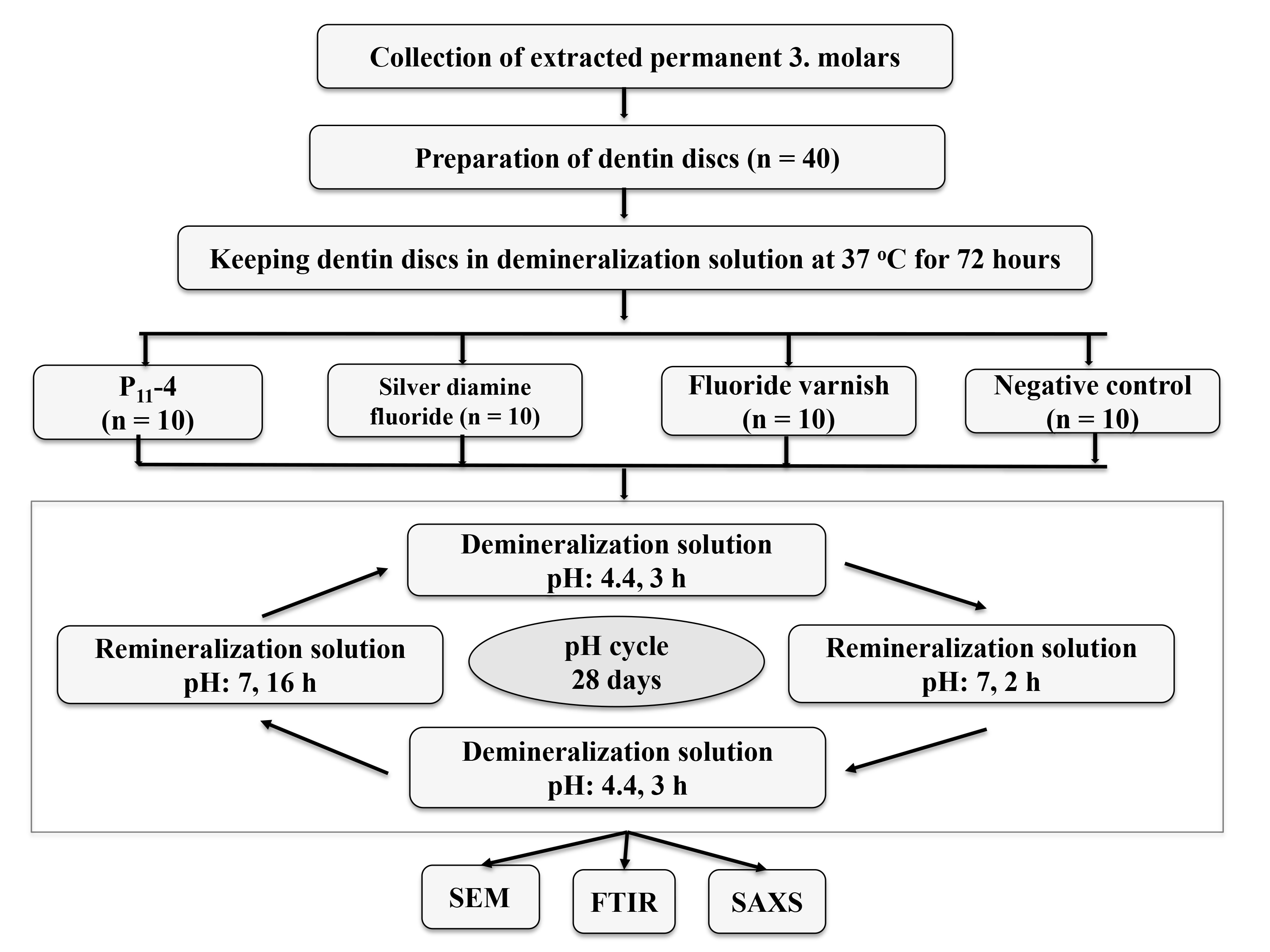 Flowchart of the experimental design. SEM: scanning electron
microscopy; FTIR: Fourier transform infrared; SAXS: small-angle X-ray
scattering.