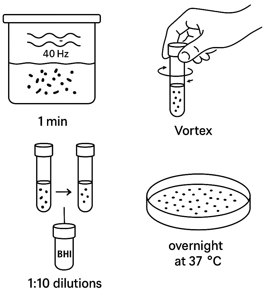 Graphical representation of microbiological analysis of the 
study samples.