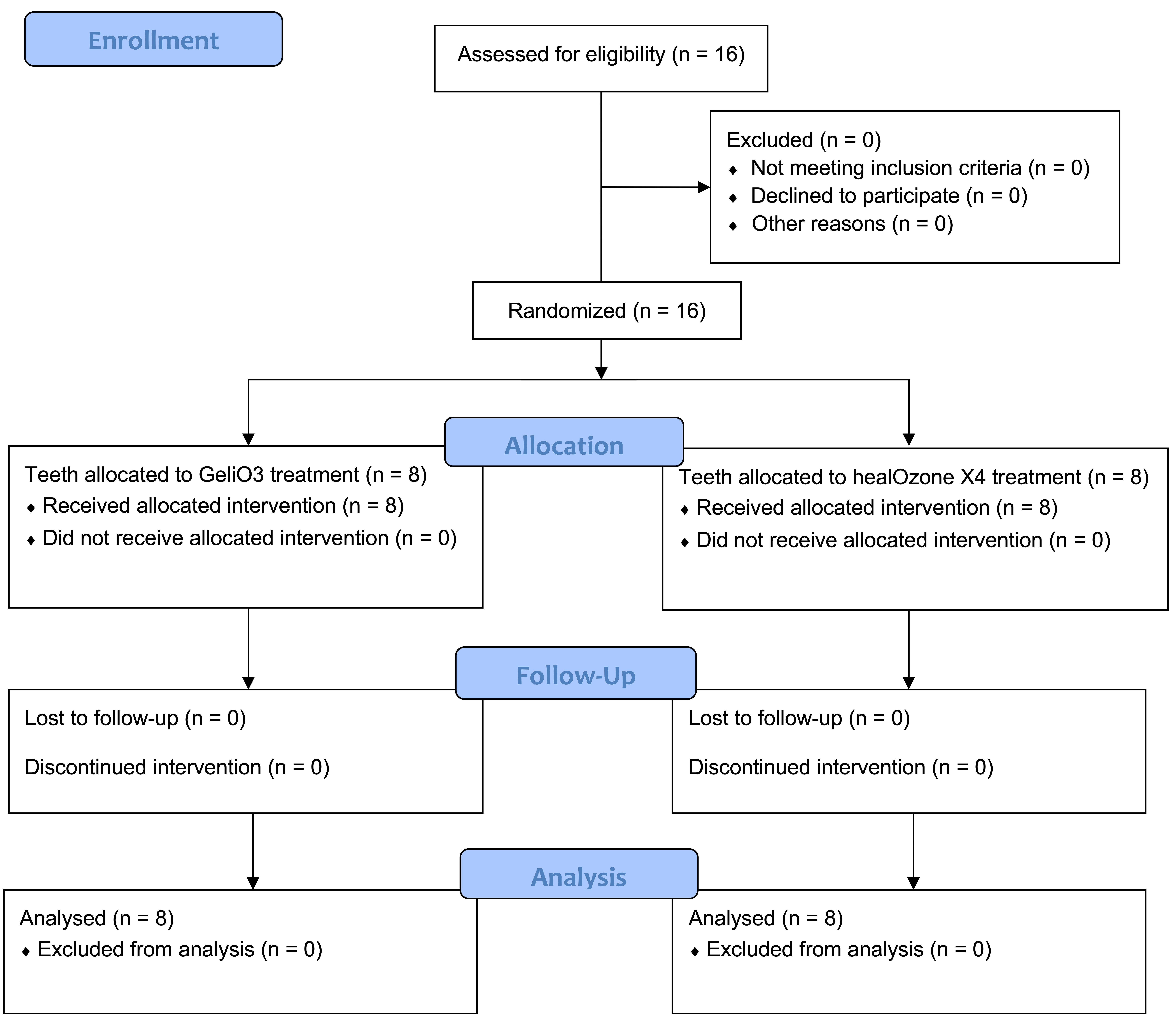 CONSORT flow chart of the study.