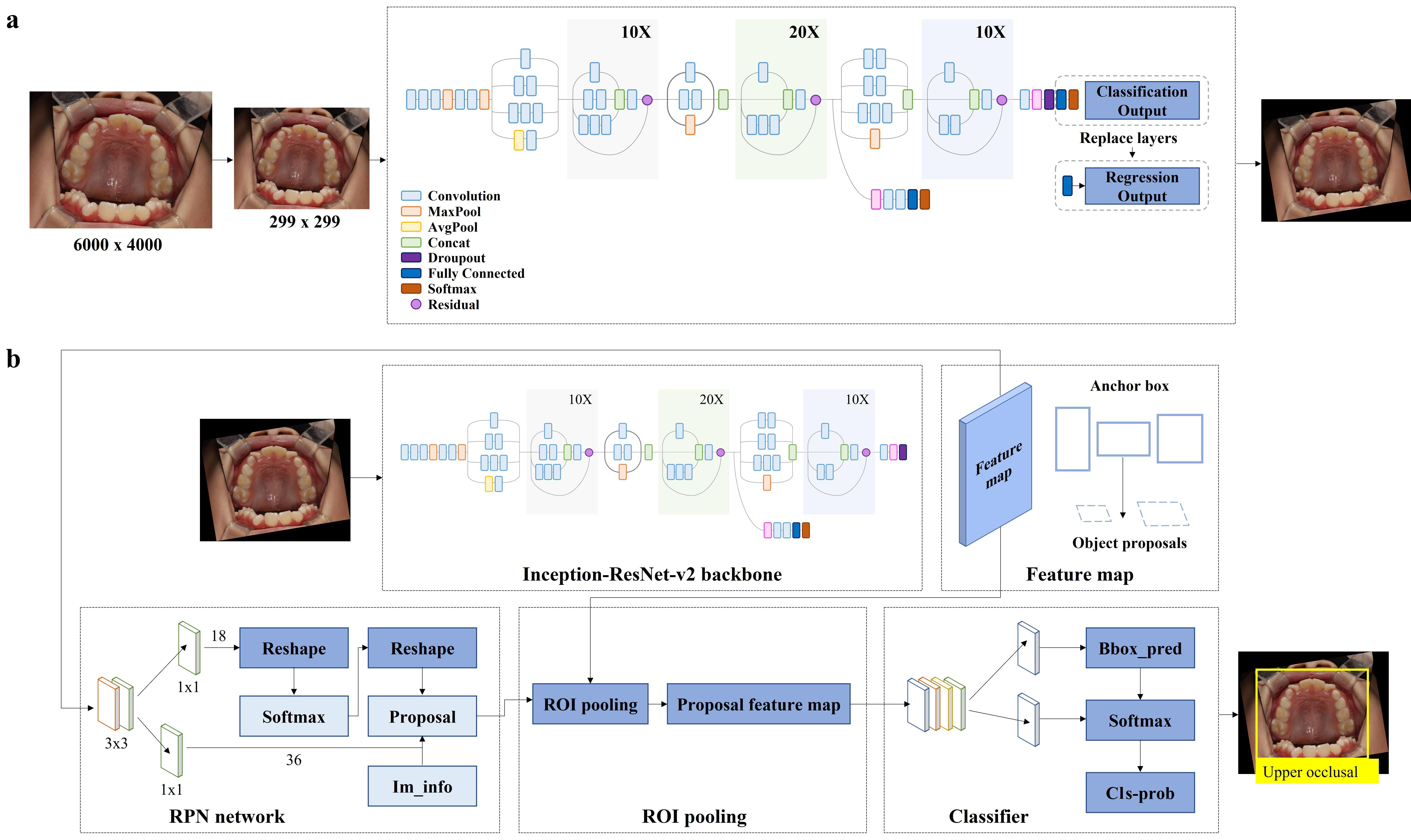 Schematic of the dual deep learning architecture. (a) Intraoral
photo orientation correction network based on Inception-ResNet-v2. (b) ROI
detection network based on Faster R-CNN. MaxPool: Max pooling; AvgPool: Average
pooling; Concat: Concatenation; ROI: Region of interest; RPN: Region proposal
network; Bbox_pred: Bounding box prediction; Cls-prob: Class probability;
Im_info: Image information.