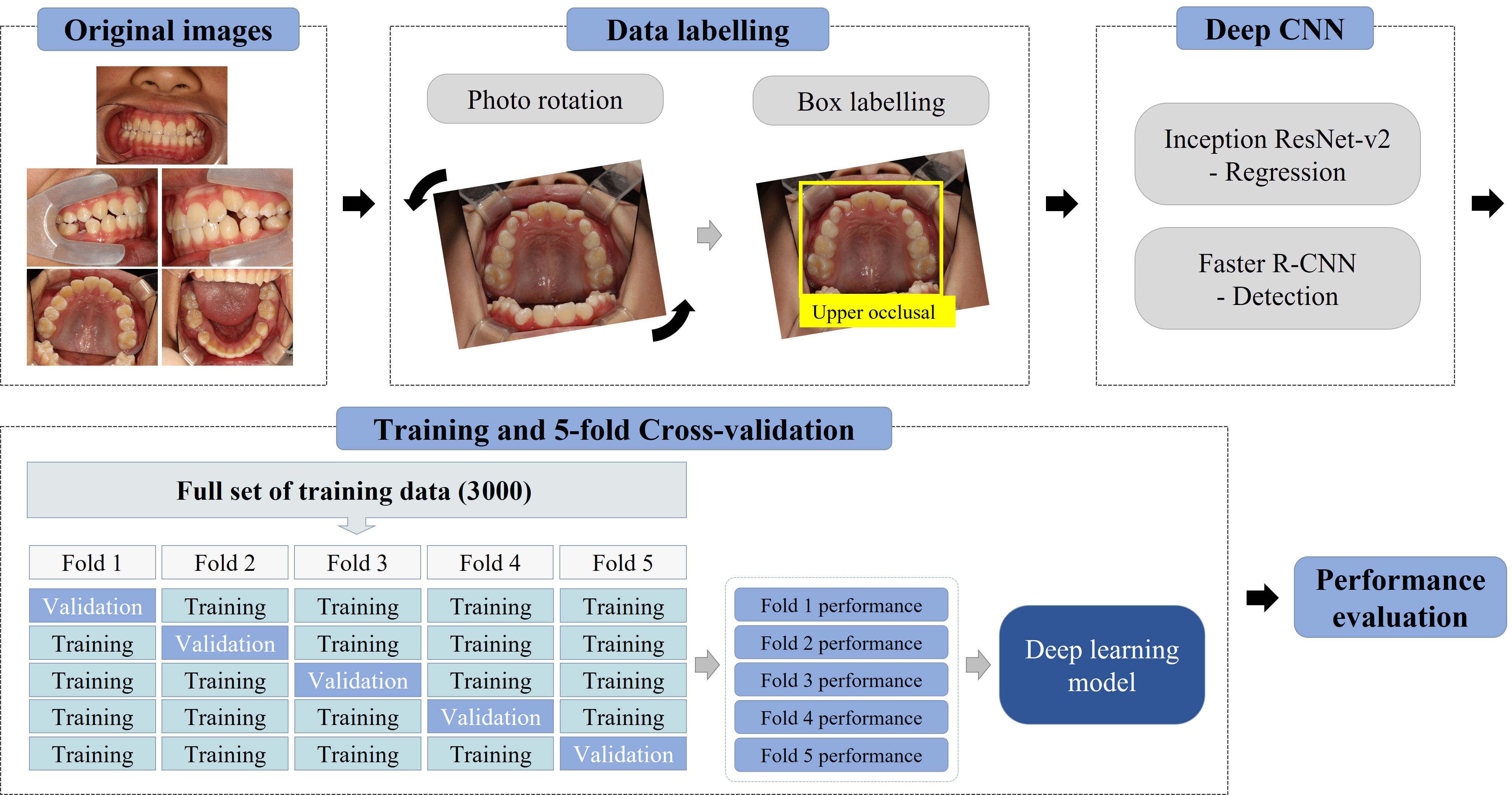 Schematic of the workflow. Original intraoral images were
rotated and labeled. A regression network (Inception-ResNet-v2) was used to
correct image orientation, and a detection network (Faster R-CNN) was used to
classify image types. A 5-fold cross-validation was conducted to train and
evaluate the deep learning model using 3000 images. CNN: convolutional neural
network.