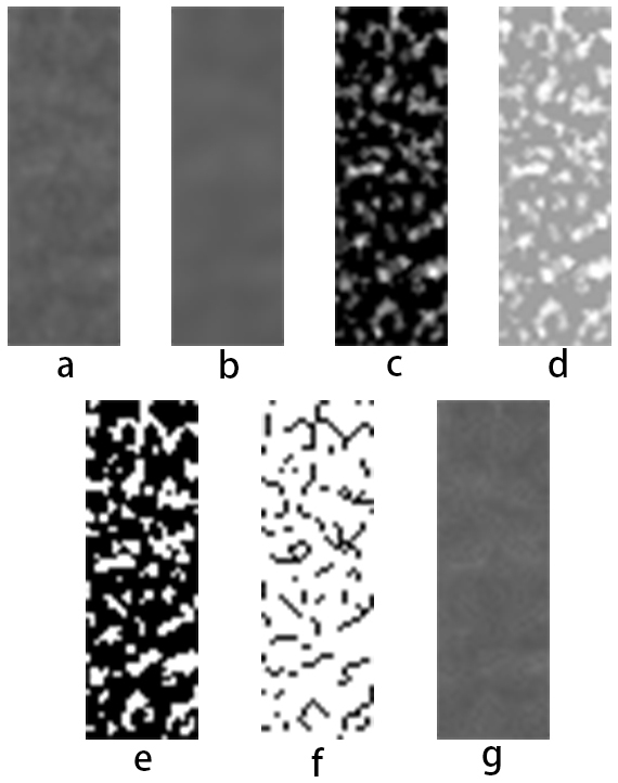 Steps of fractal analysis on panoramic radiographs. (a) Raw
image before processing. (b) Gaussian blurred image. (c) Result of subtracting
blurred image from raw image. (d) Grayscale offset. (e) Binarized. (f) Invert,
skeletonize. (g) overlay.