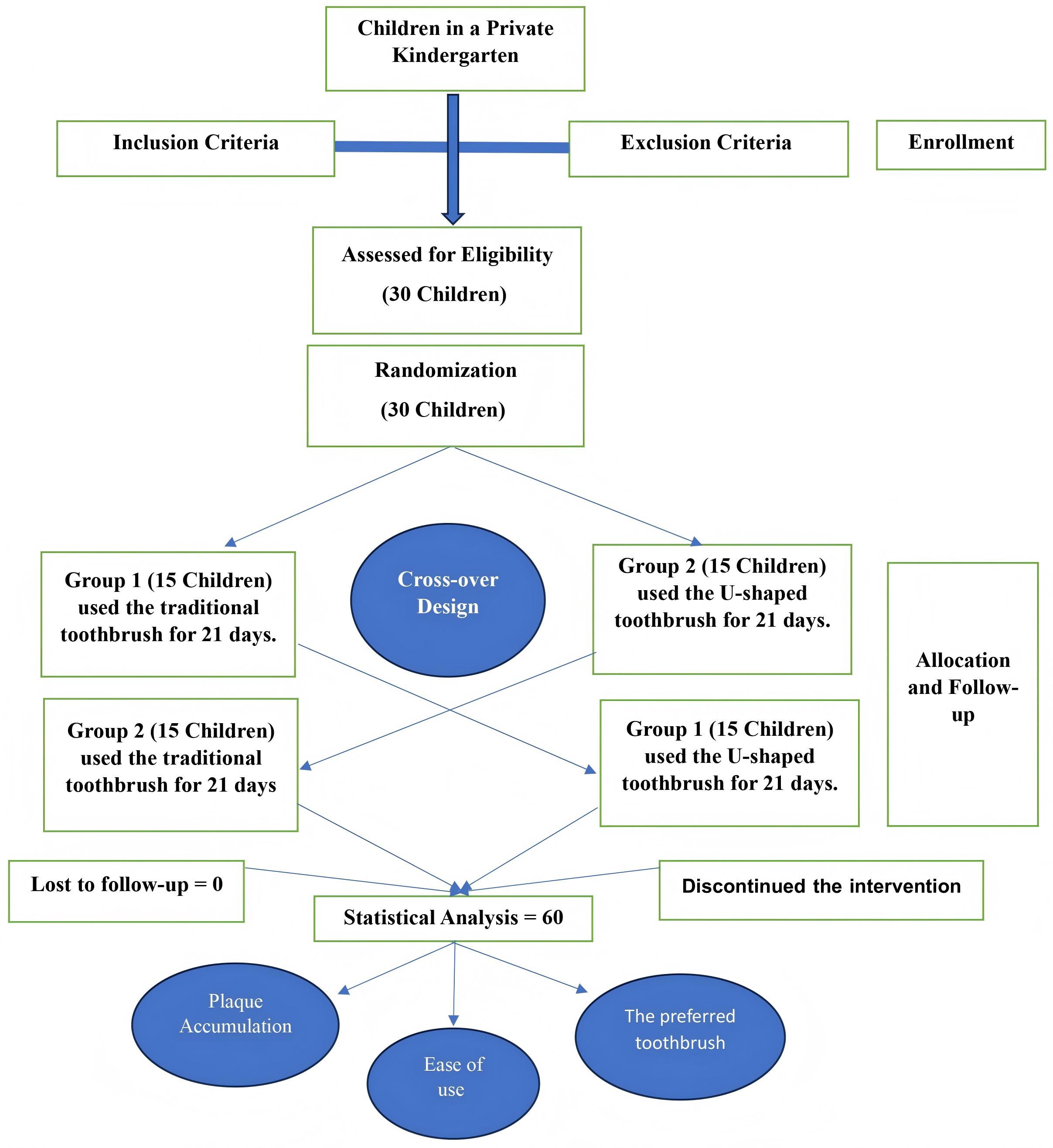 Flow chart of the study protocol.